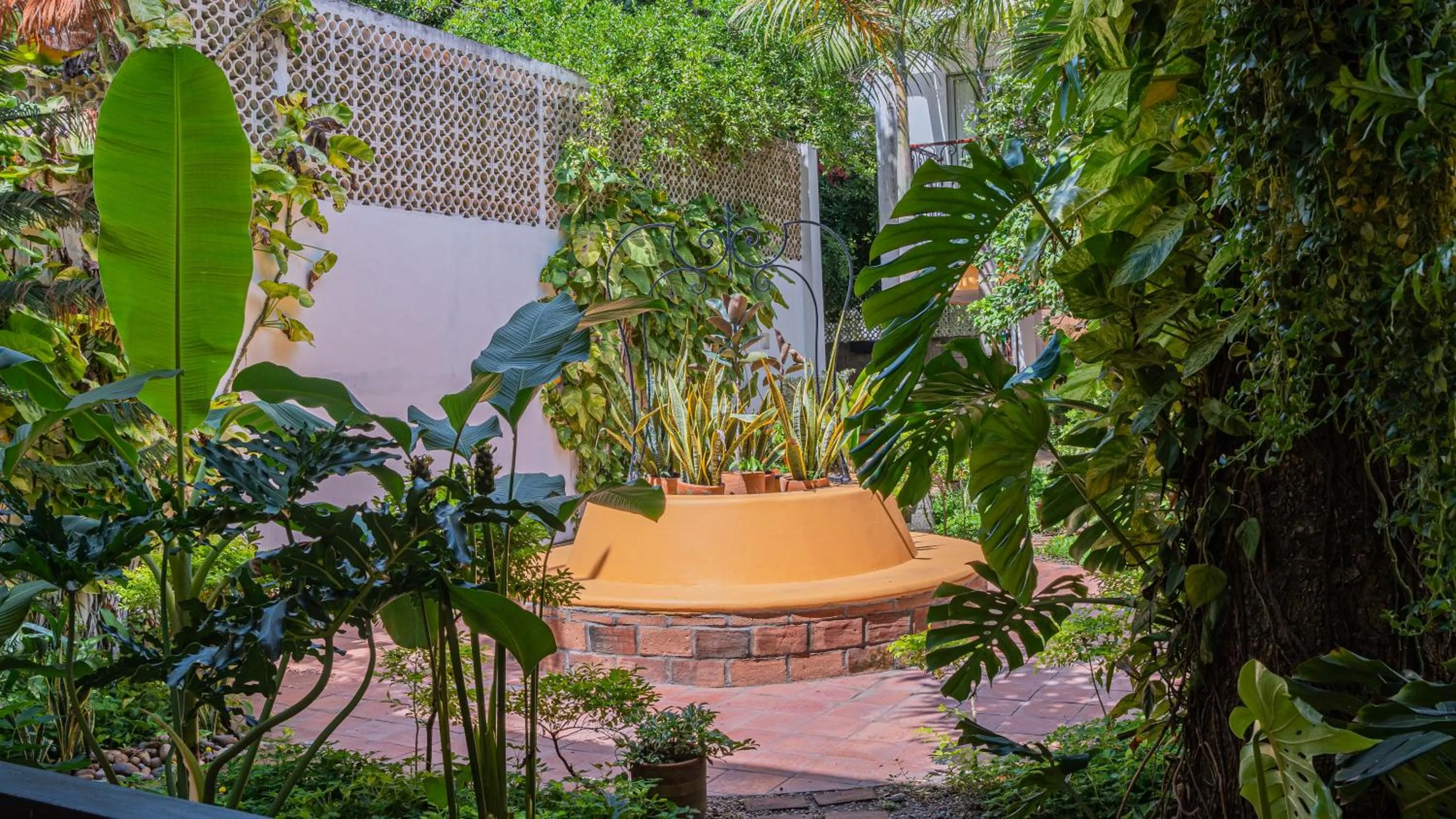 Garden in Hotel La Gloria