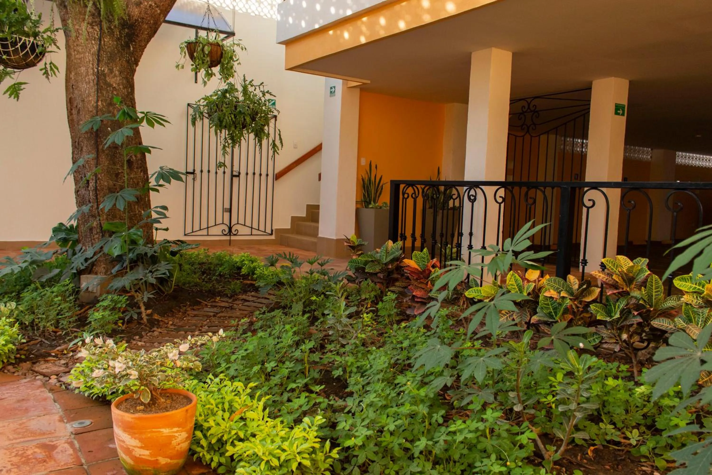 Garden in Hotel La Gloria