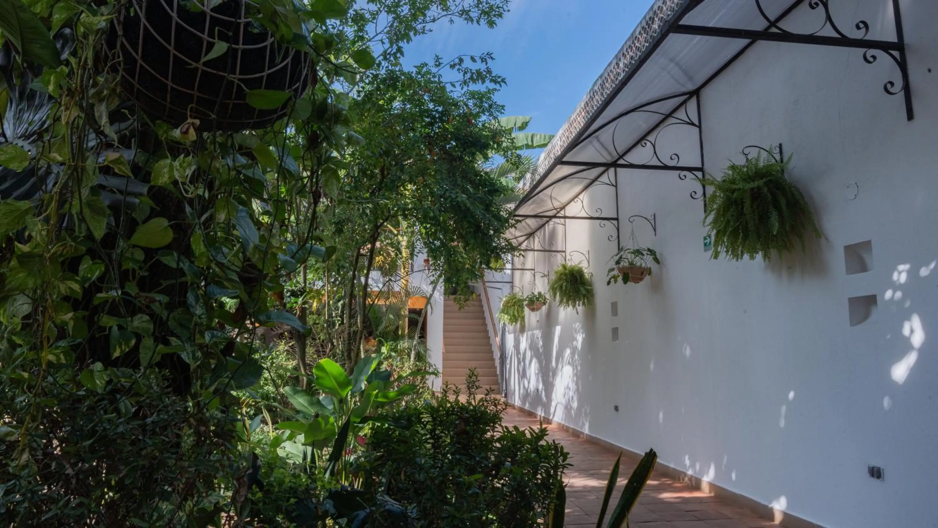 Garden in Hotel La Gloria