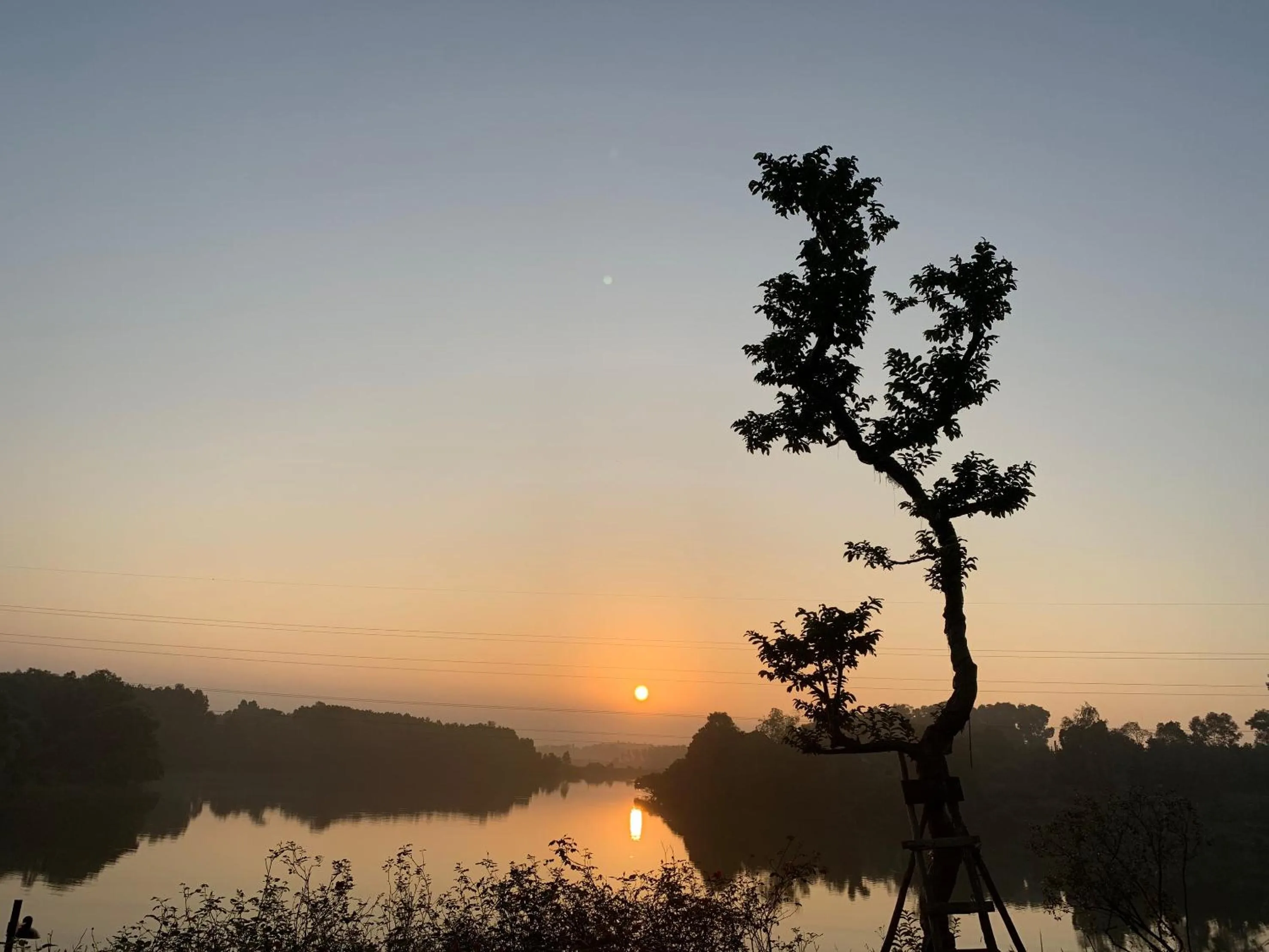 Tomodachi Retreat - Làng Mít