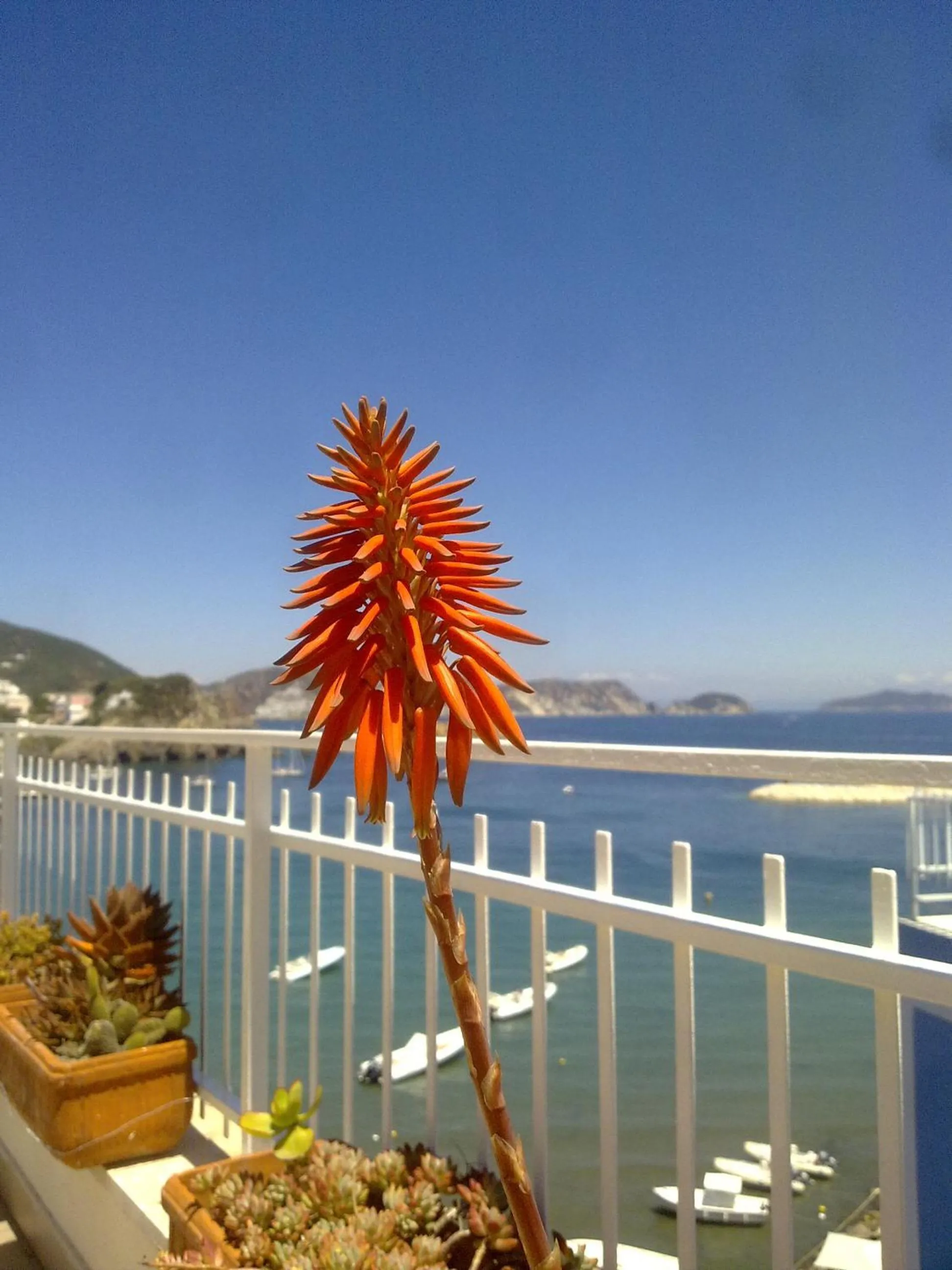 View (from property/room) in Hotel La Baia