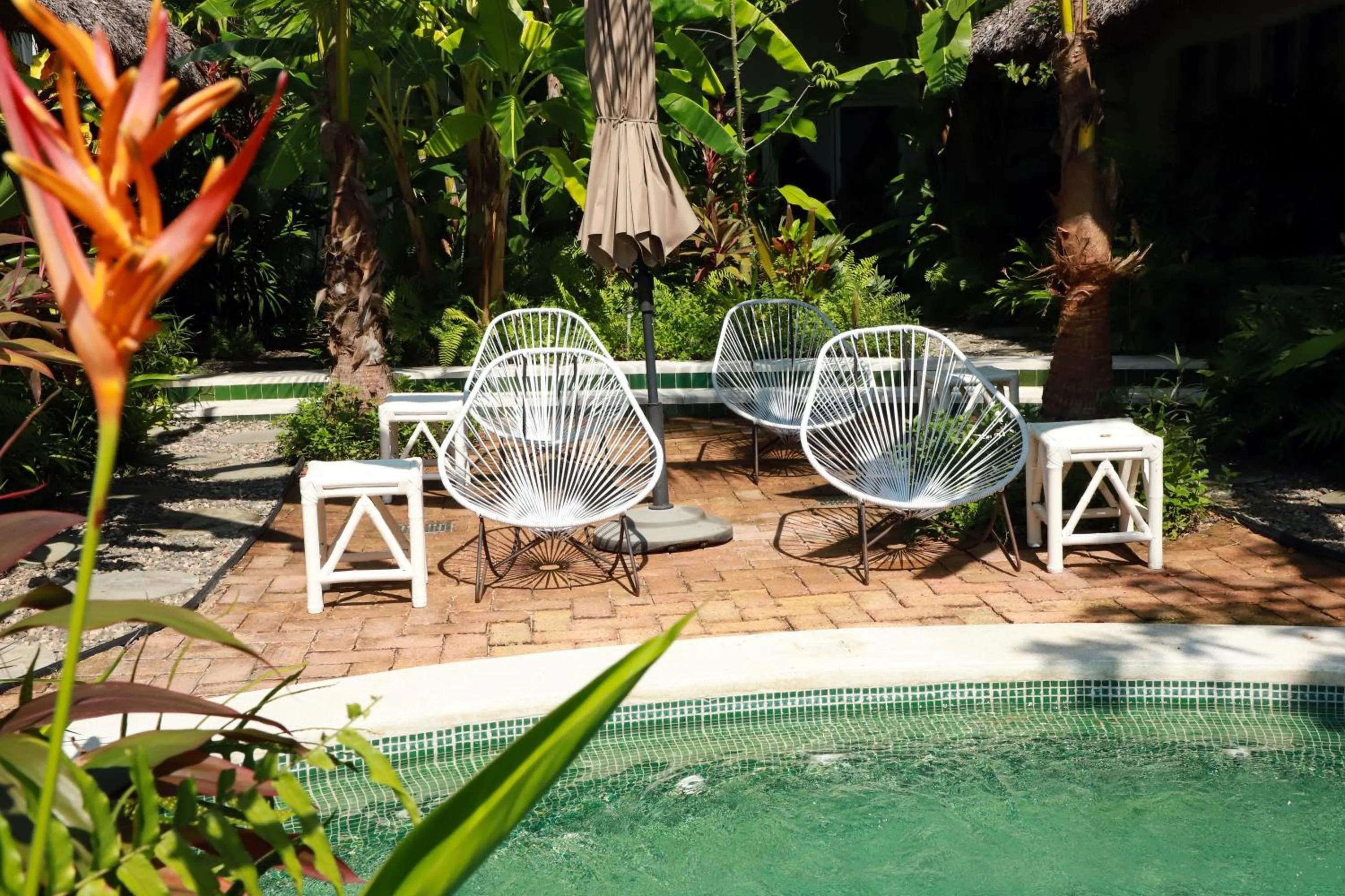 Garden in Marii Hotel Boutique