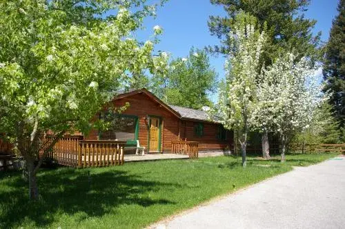 Creekside Cabin Creekside Cabin