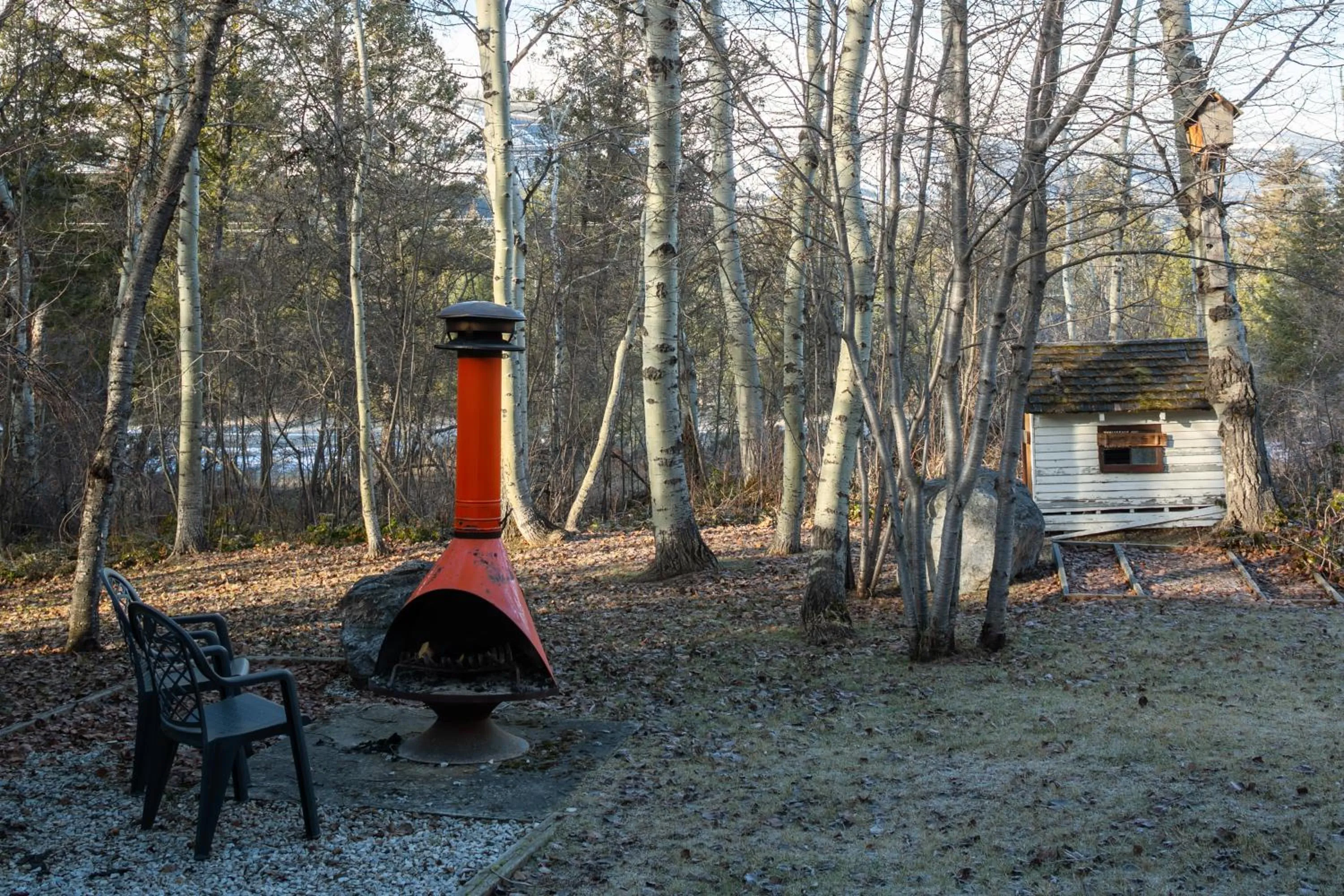 Garden in Creekside Cabin