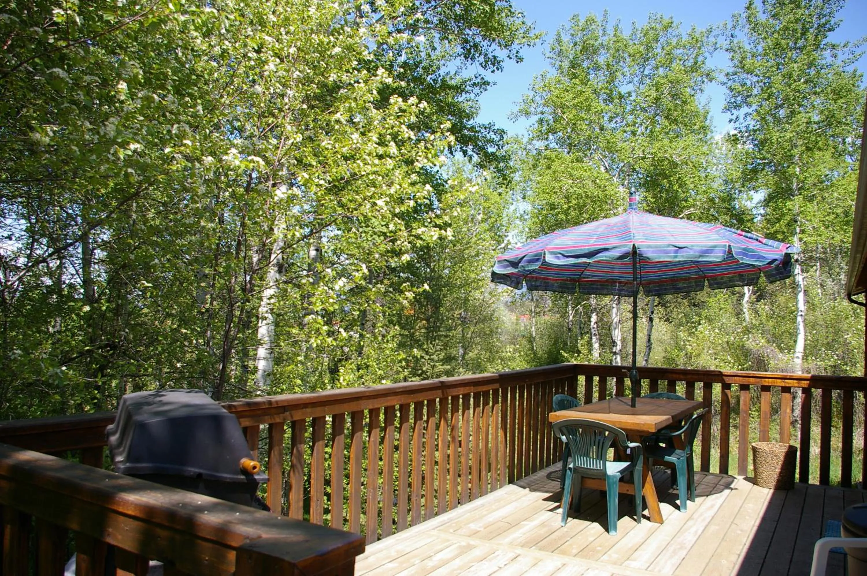 Patio in Creekside Cabin