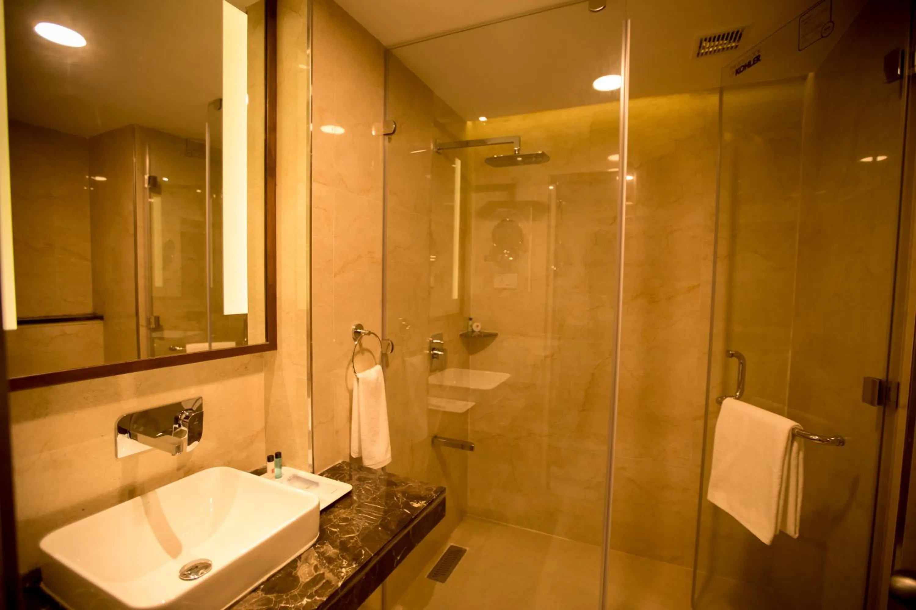 Bathroom in S Hotels Chennai