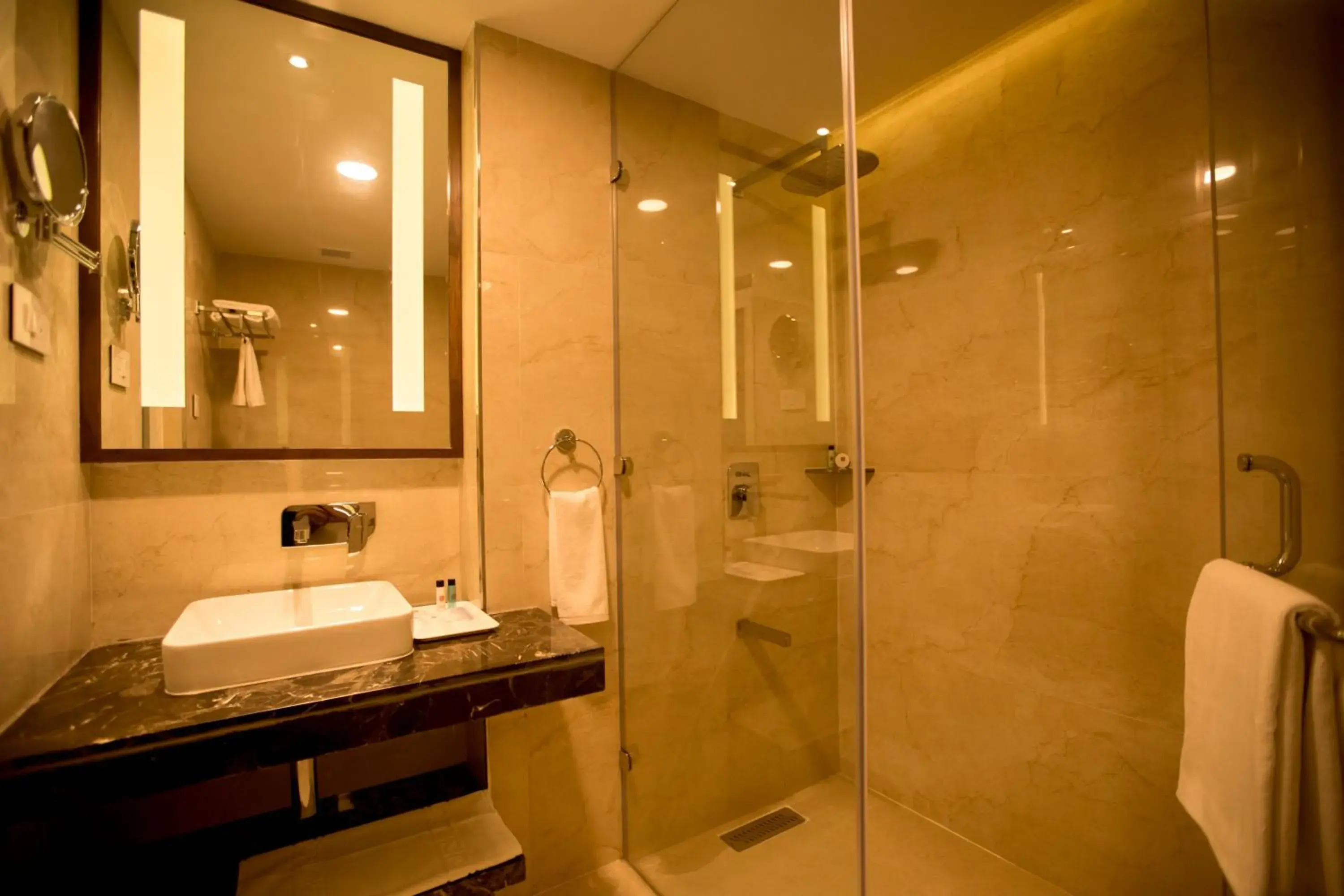 Bathroom in S Hotels Chennai Bathroom in S Hotels Chennai
