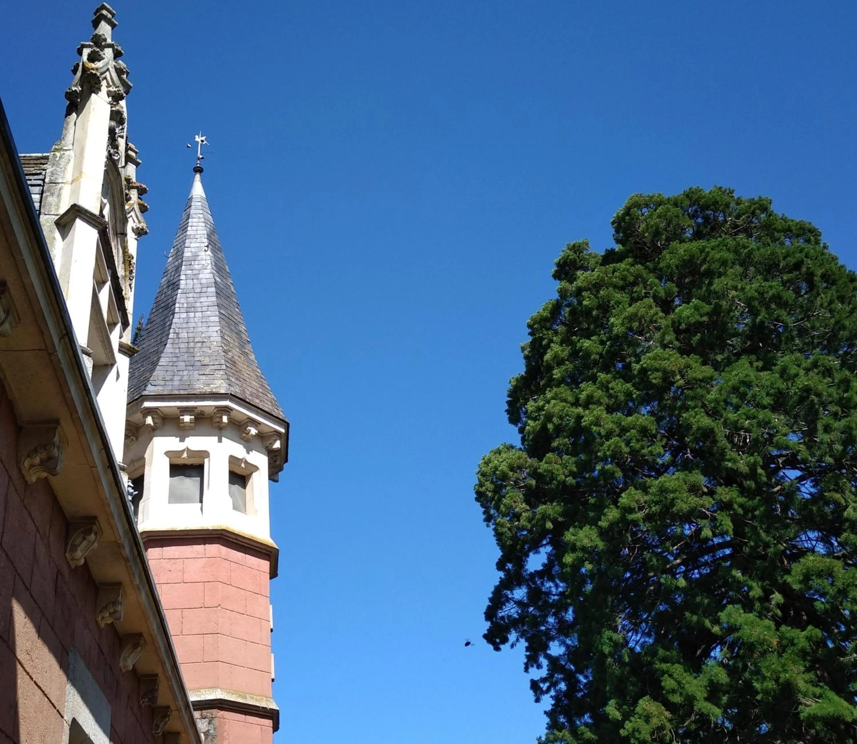 View (from property/room) in Château de la Vernède, la Grande Vernède