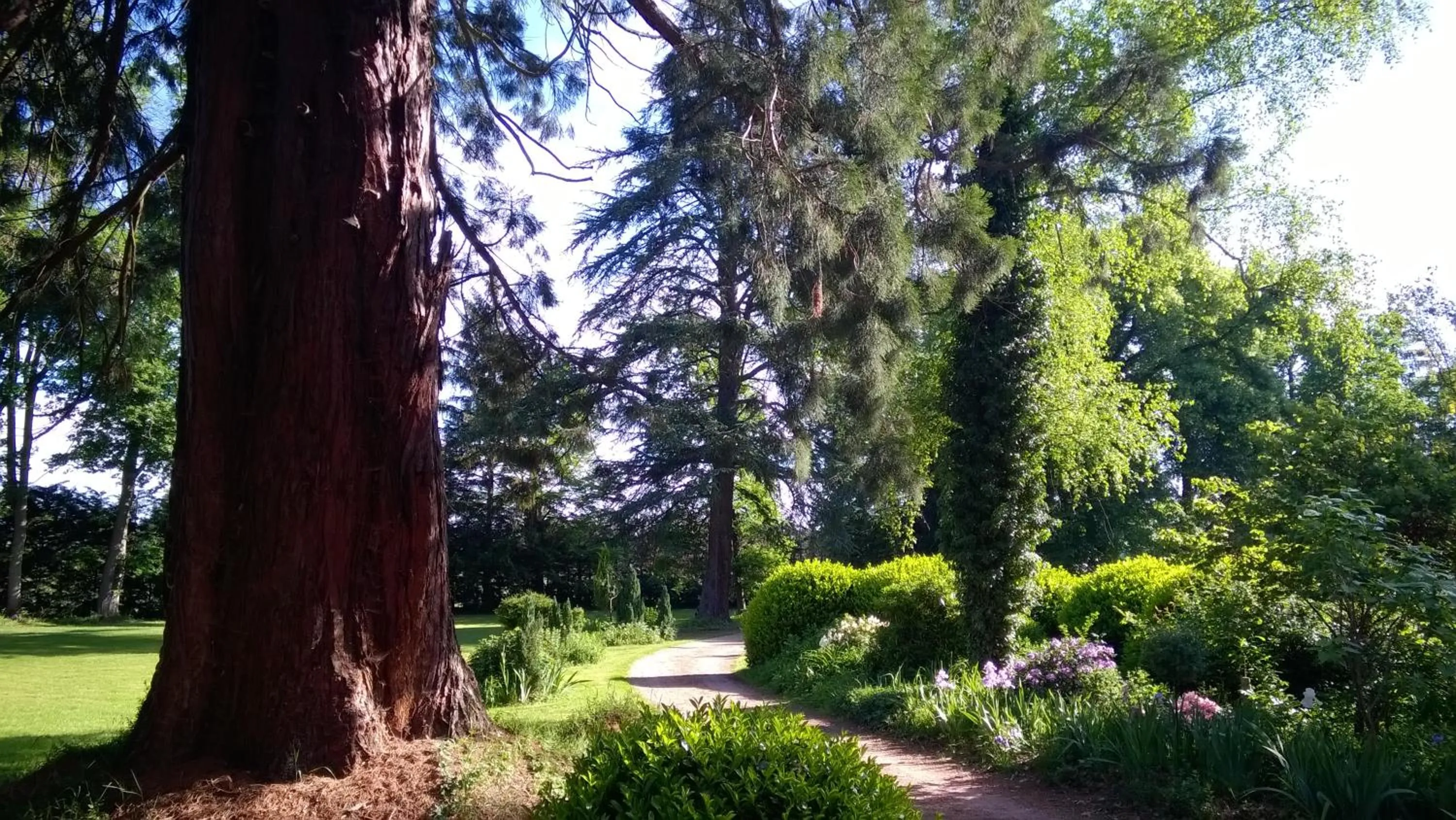 Garden in Château de la Vernède, la Grande Vernède