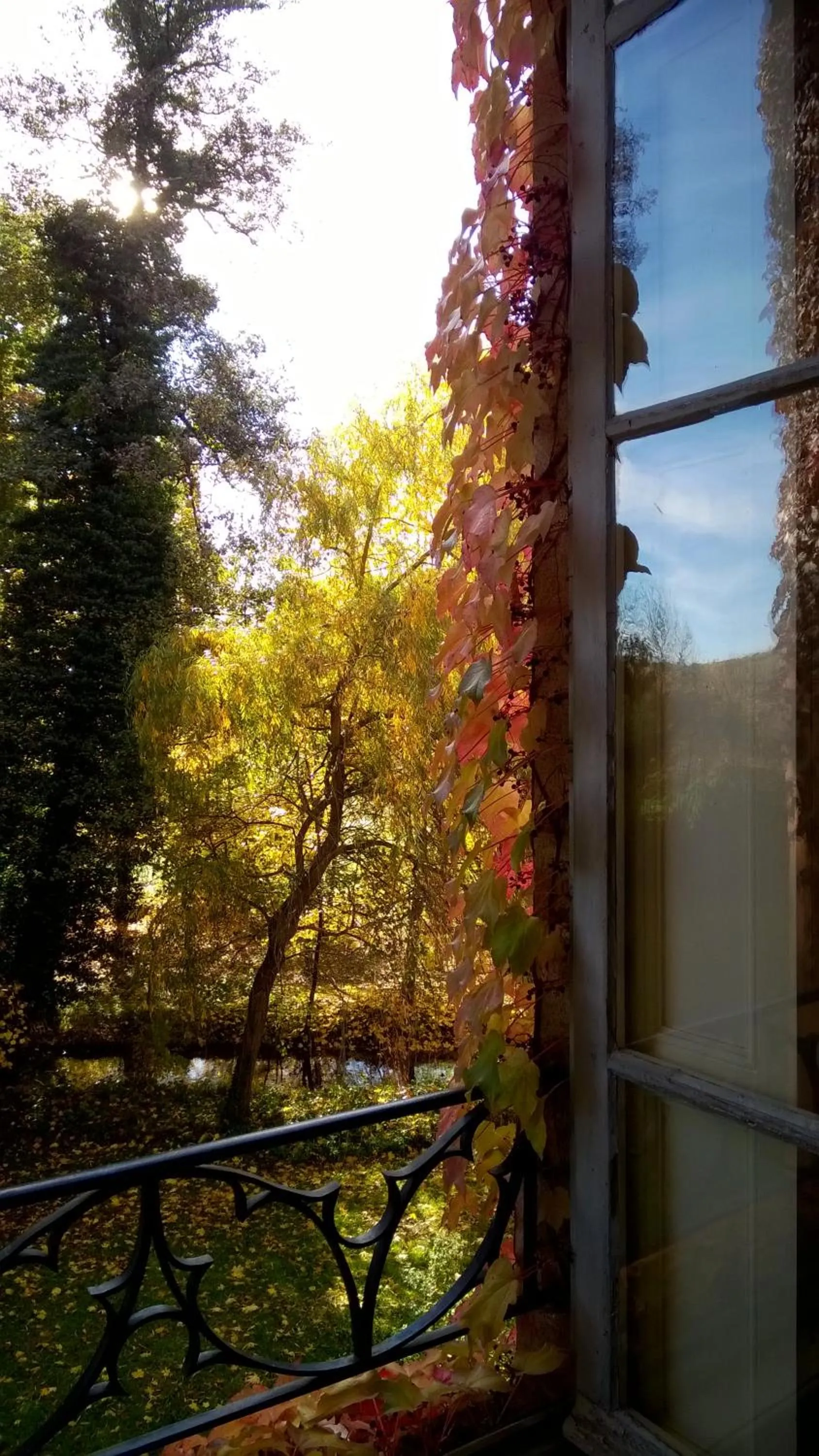 Garden view in Château de la Vernède, la Grande Vernède