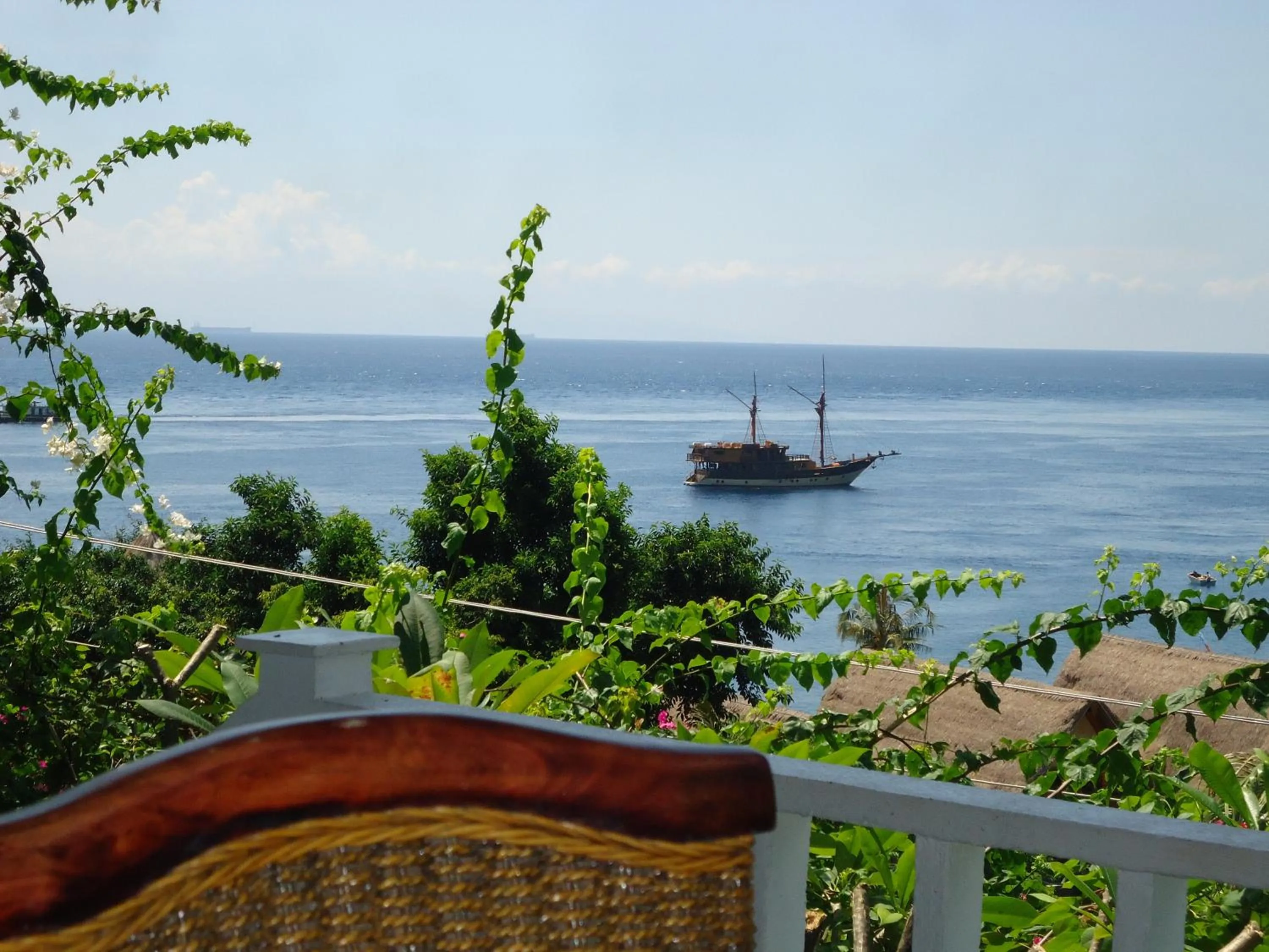 View (from property/room) in Baliku Dive Resort