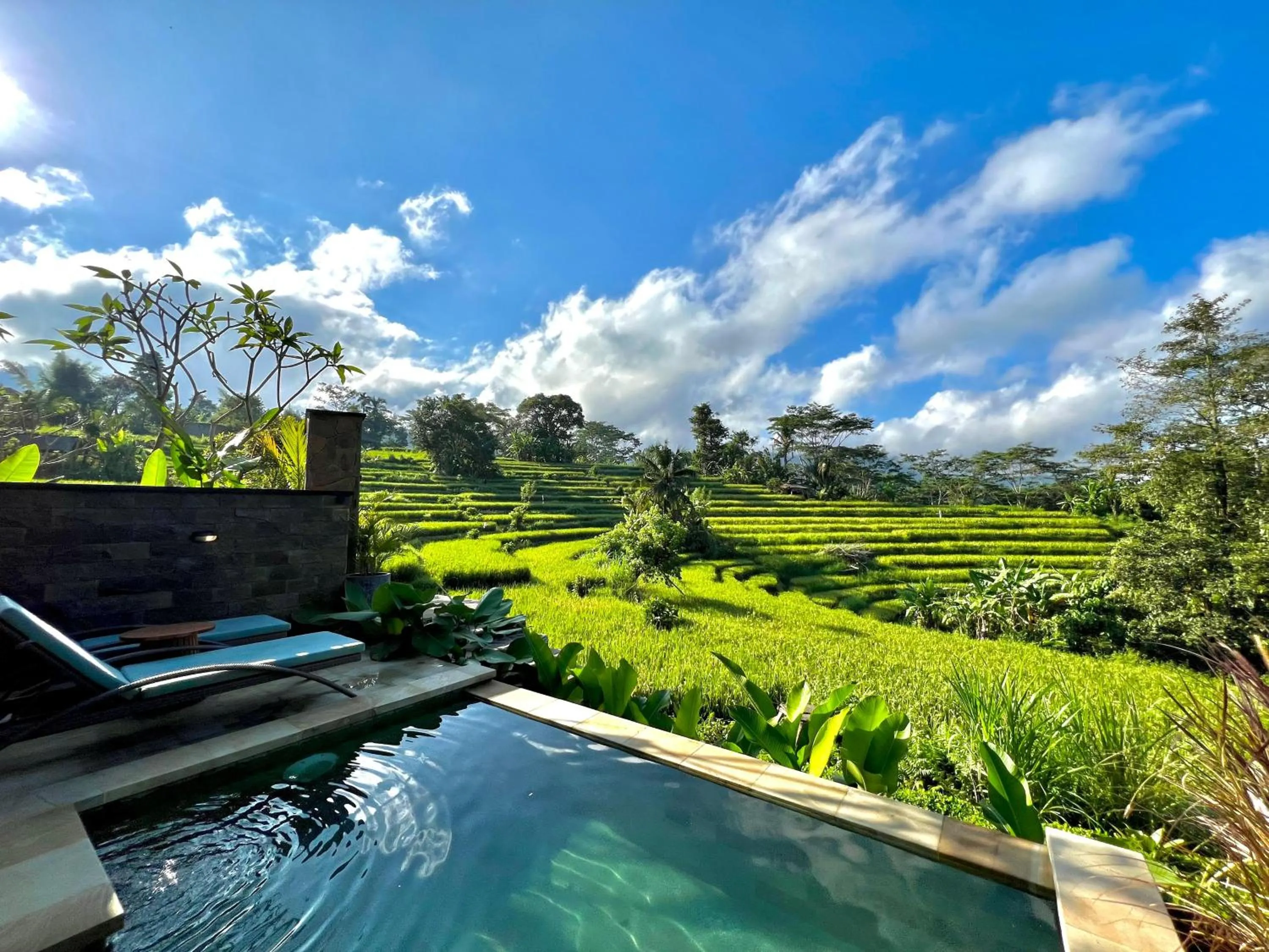 Pool view in Abian Ayu Villa