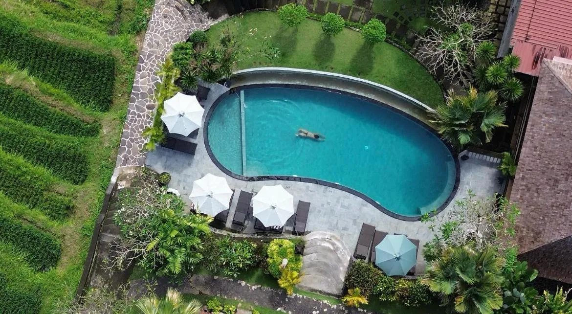 Pool view in Abian Ayu Villa