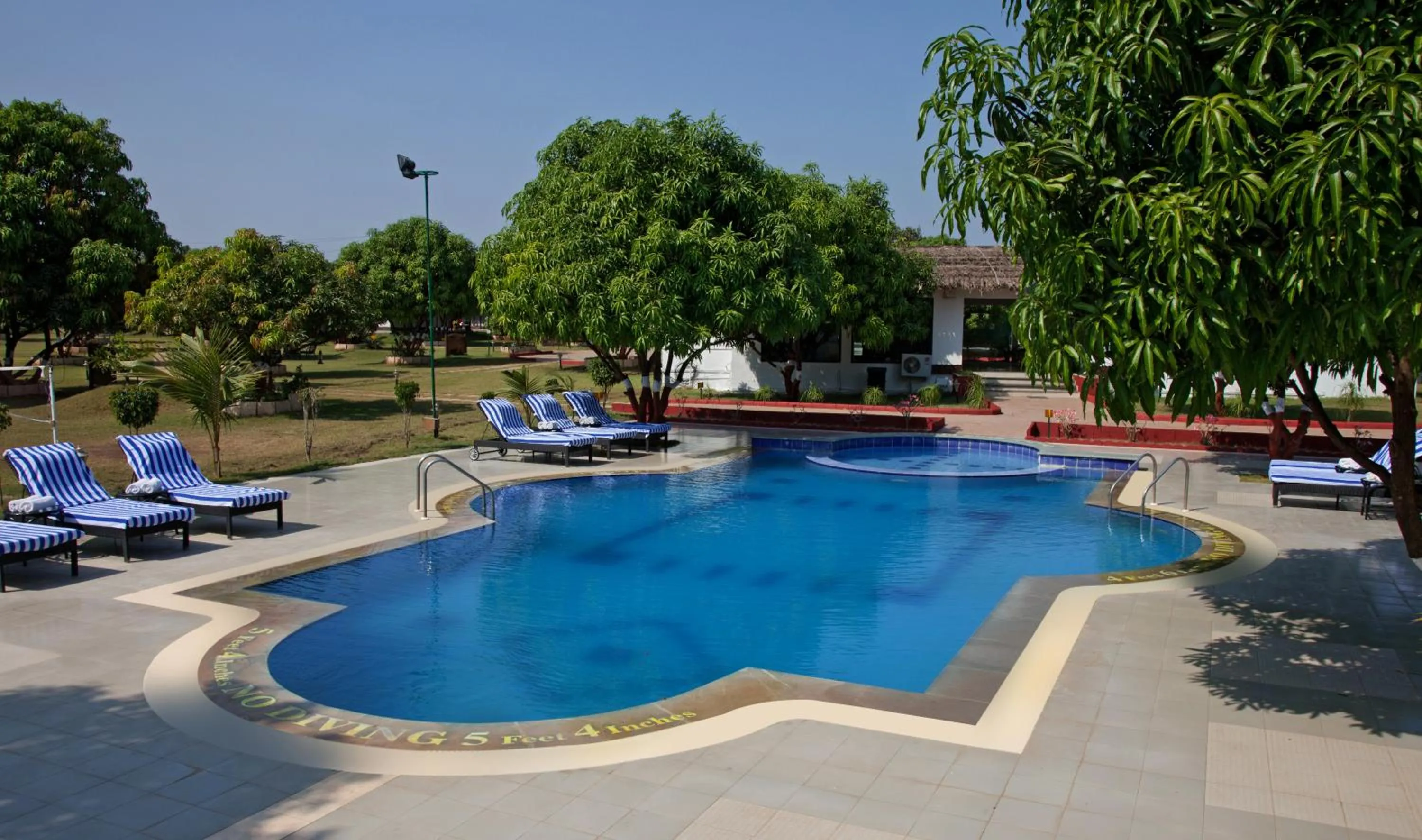 Swimming pool in Club Mahindra Sasan Gir