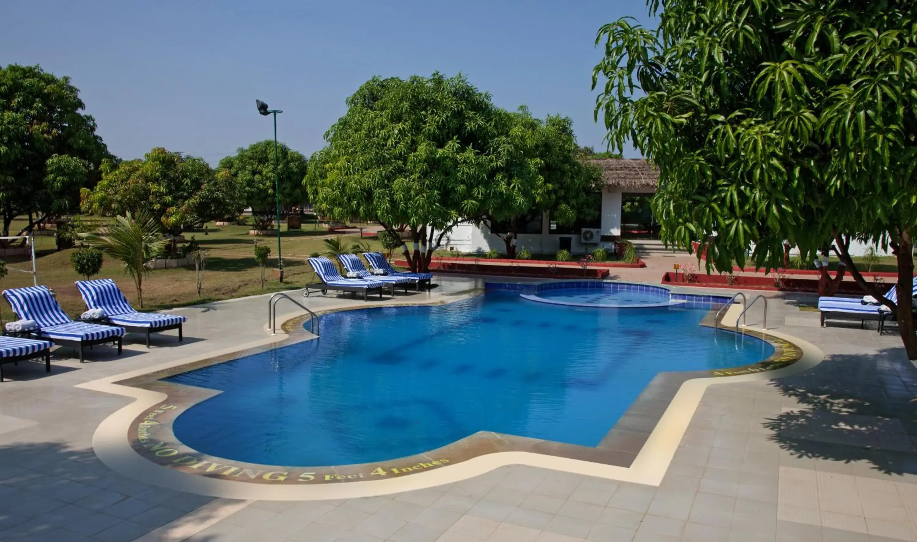 Swimming pool in Club Mahindra Sasan Gir Swimming pool in Club Mahindra Sasan Gir