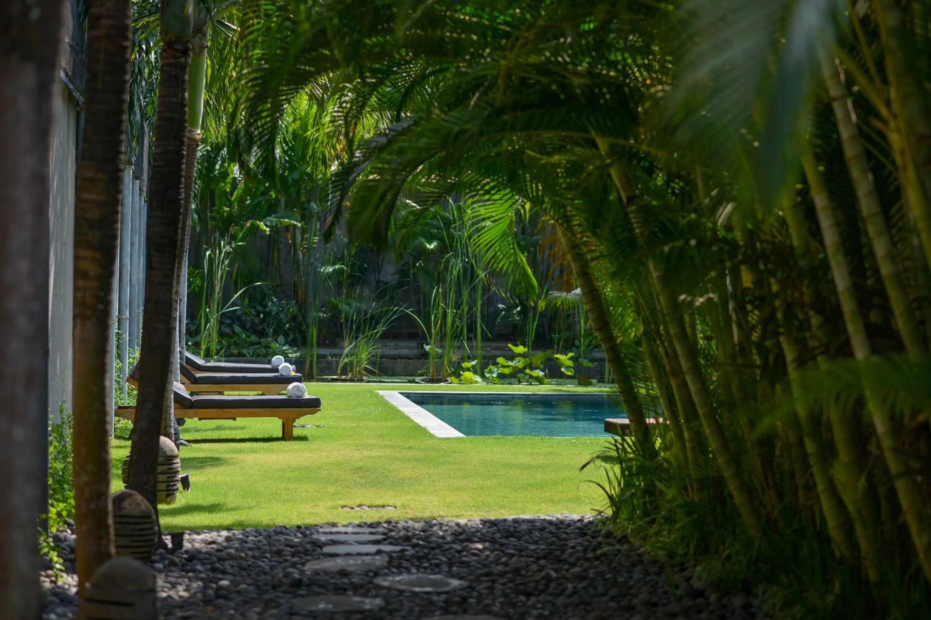 Natural landscape in Villa Chocolat Seminyak