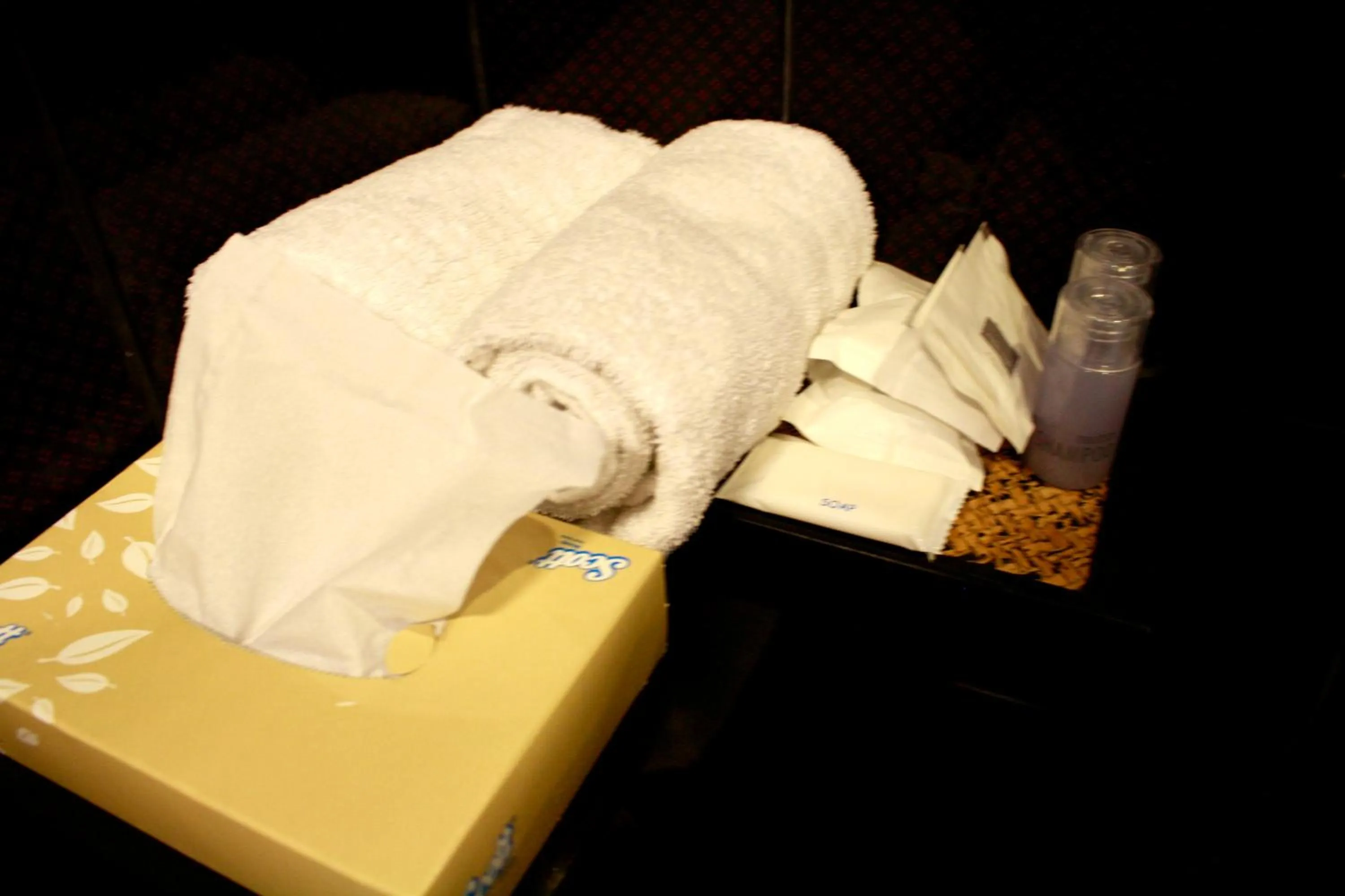 Area and facilities in Hotel Alley