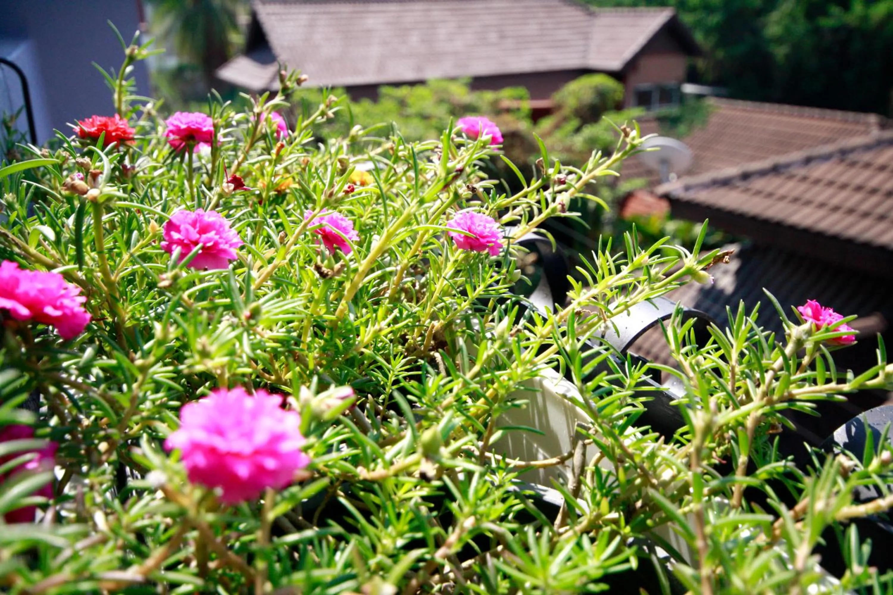 City view in Hotel Alley