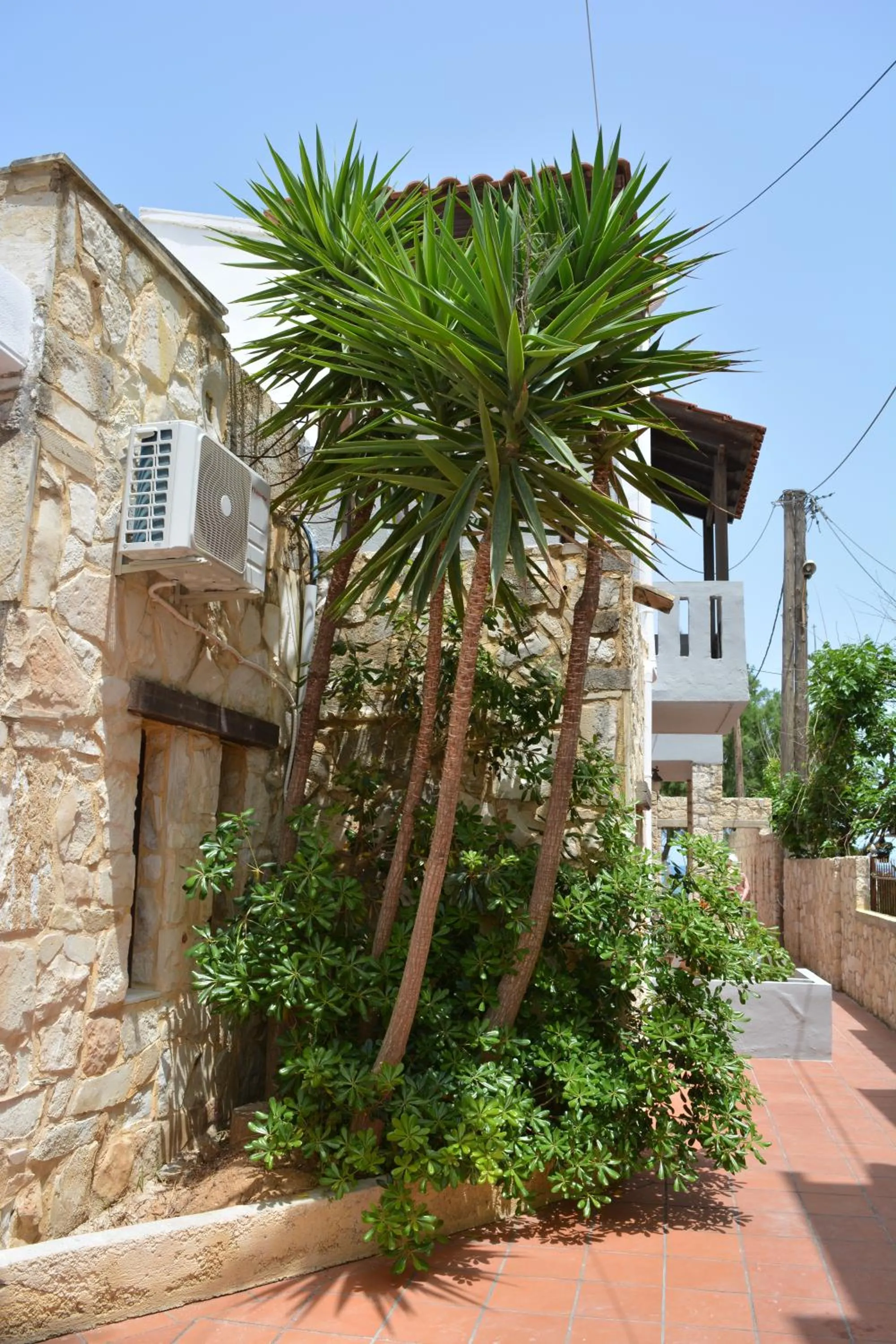 Garden in Villa Giorgos
