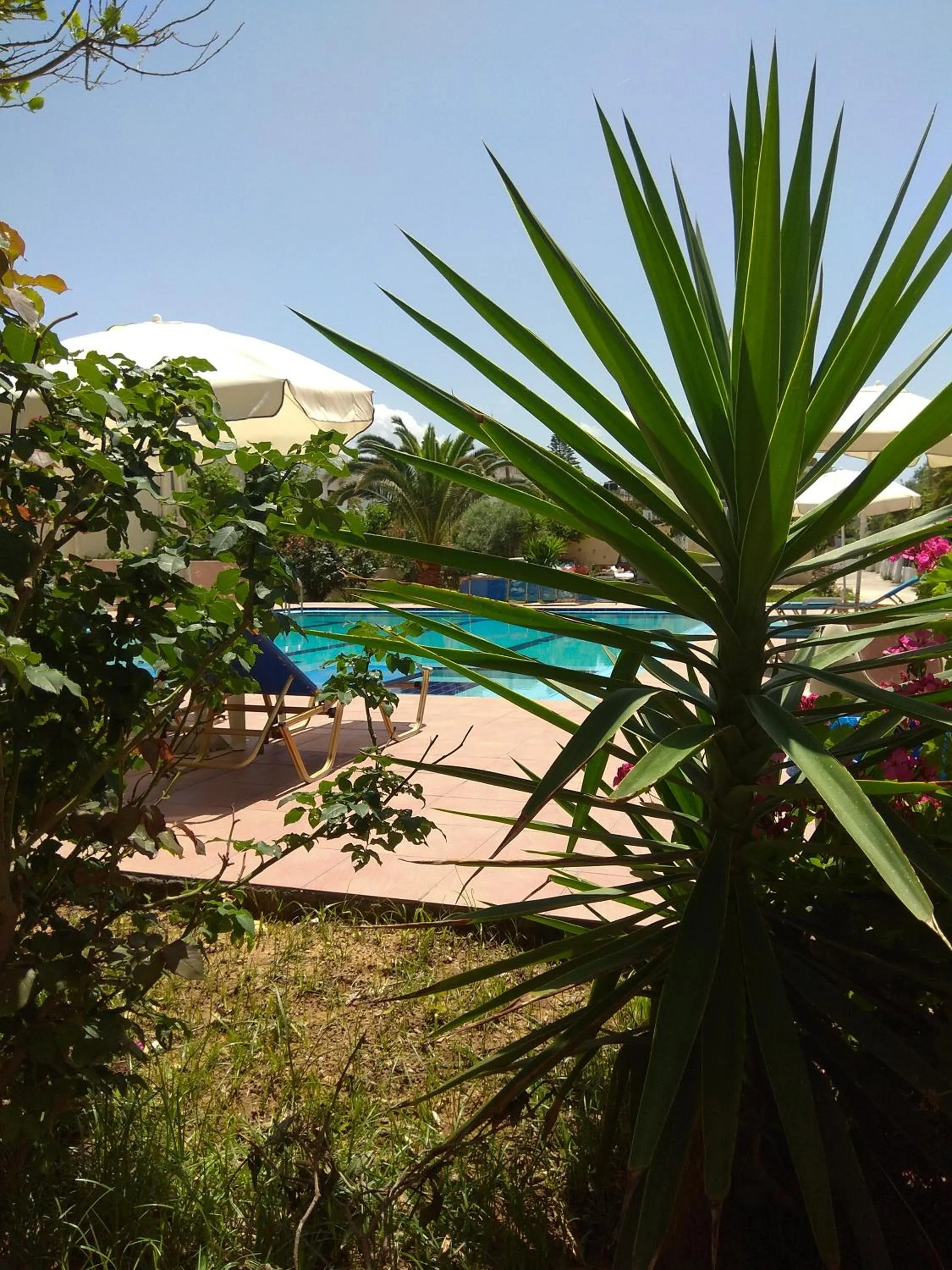 Pool view in Villa Giorgos