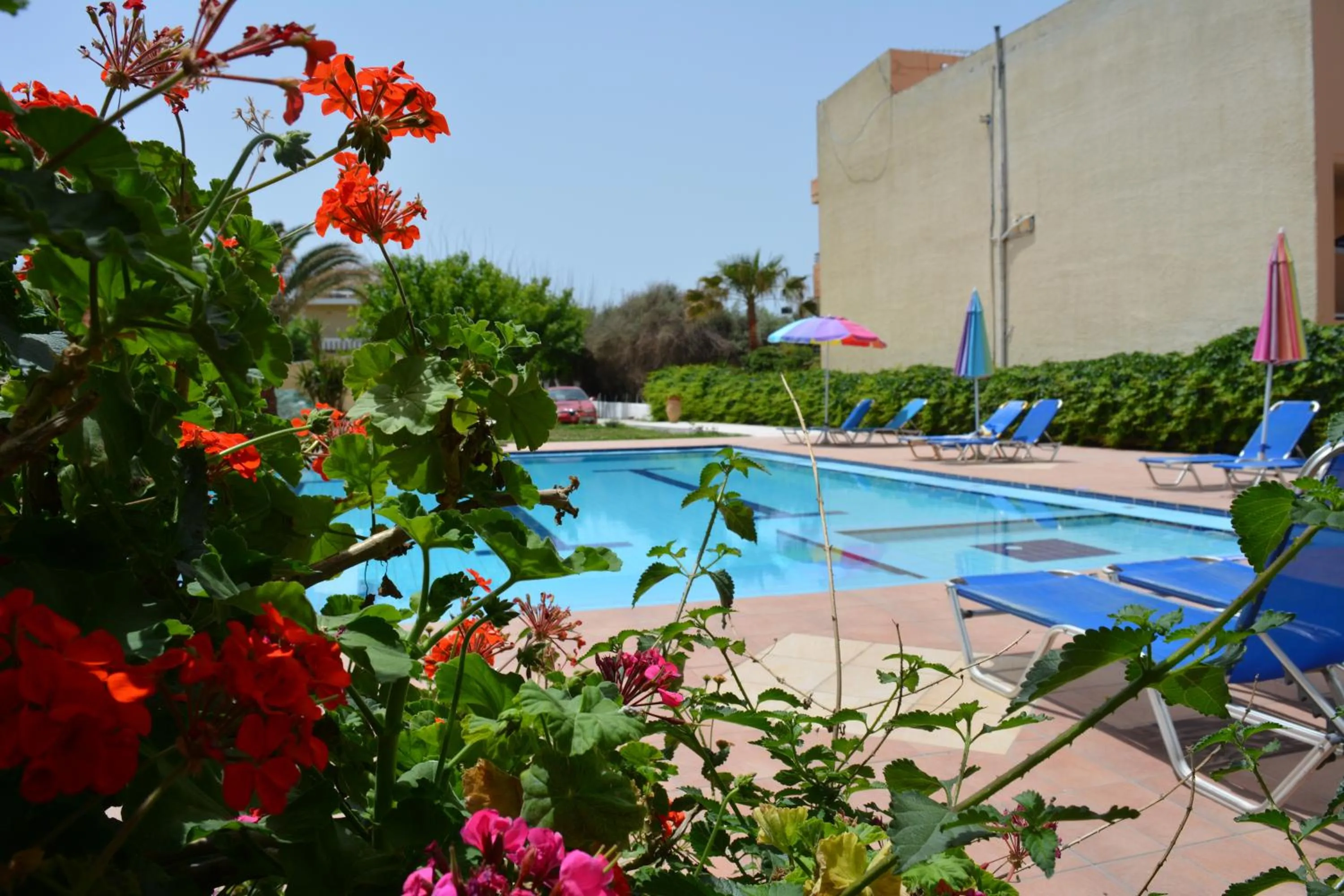 Swimming pool in Villa Giorgos