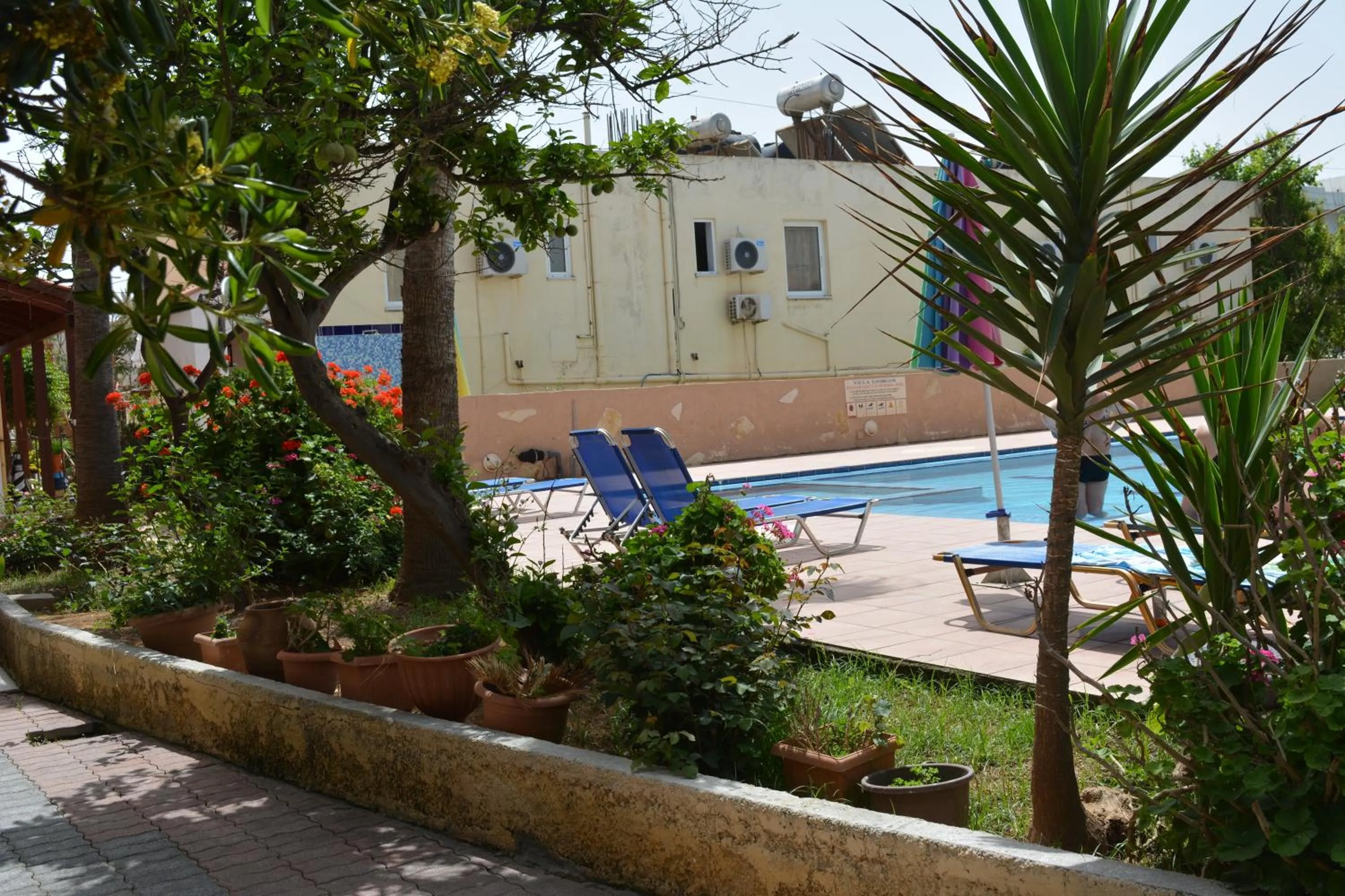 Swimming pool in Villa Giorgos
