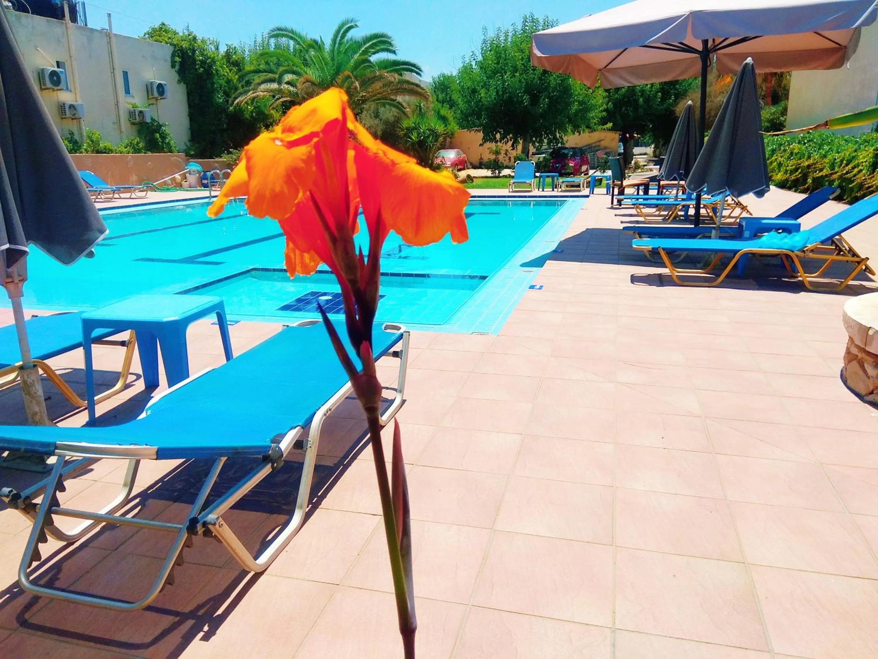 Swimming pool in Villa Giorgos