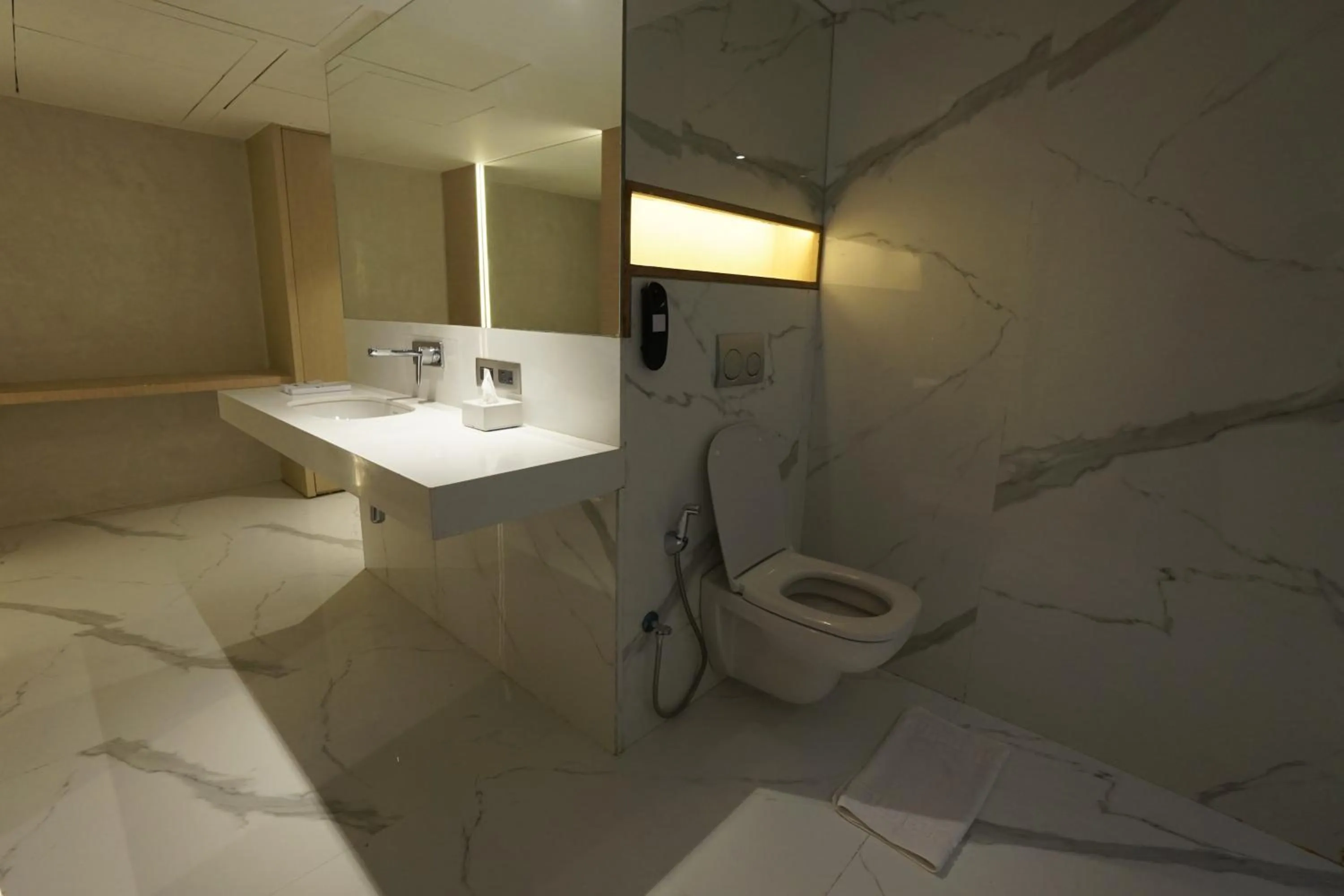 Clarks Inn Suites Raipur