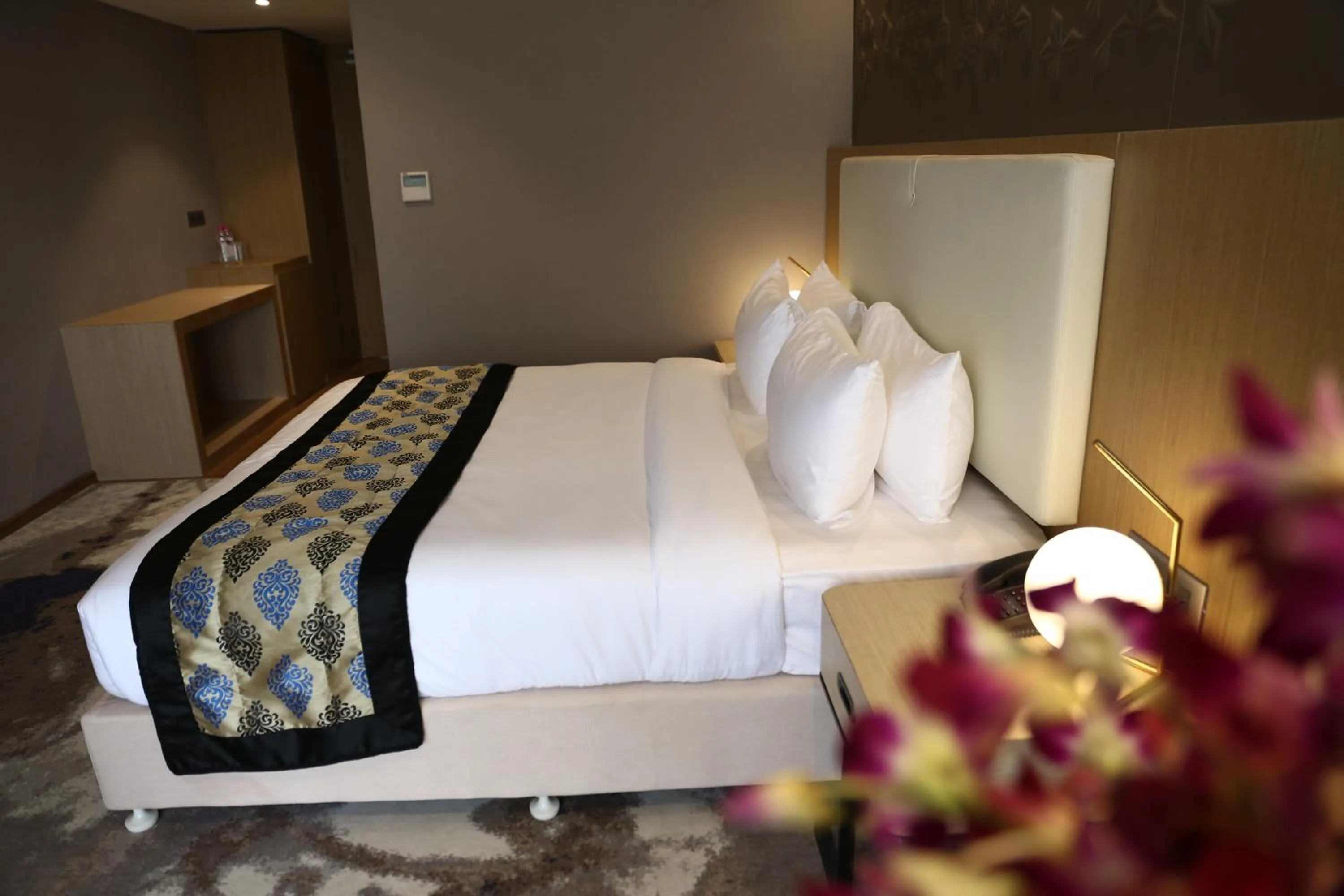 Clarks Inn Suites Raipur