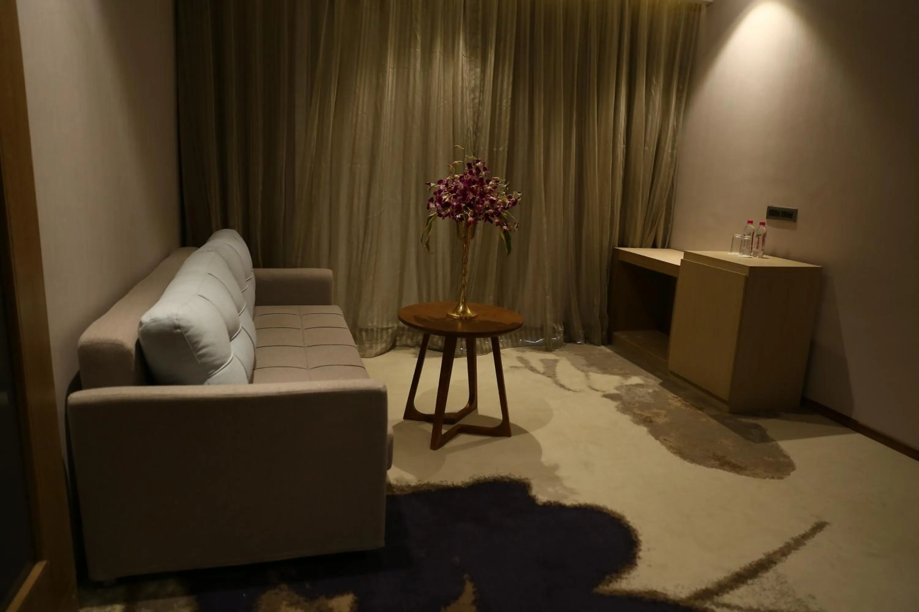 Clarks Inn Suites Raipur