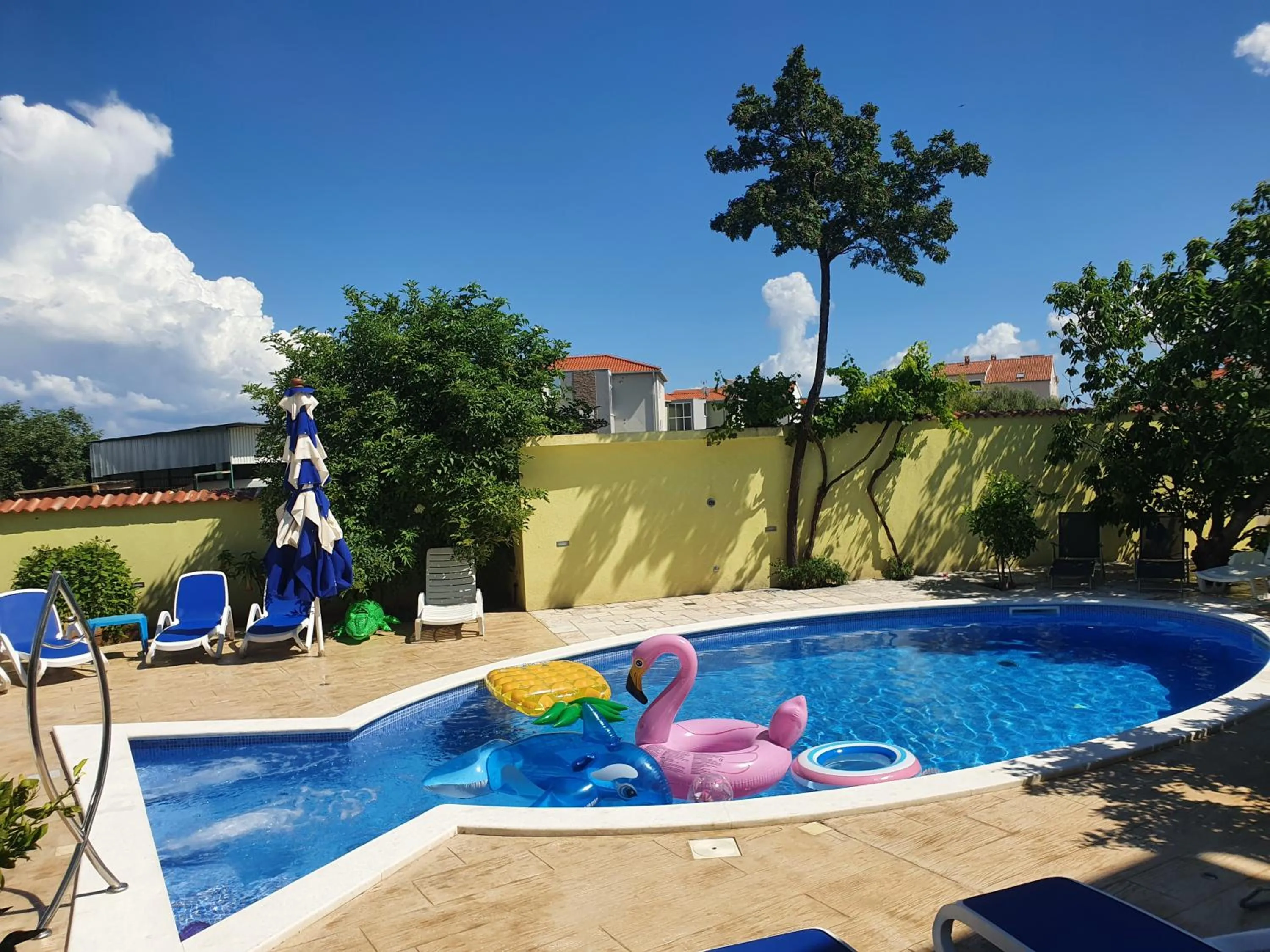 Swimming pool in Apartments Petra