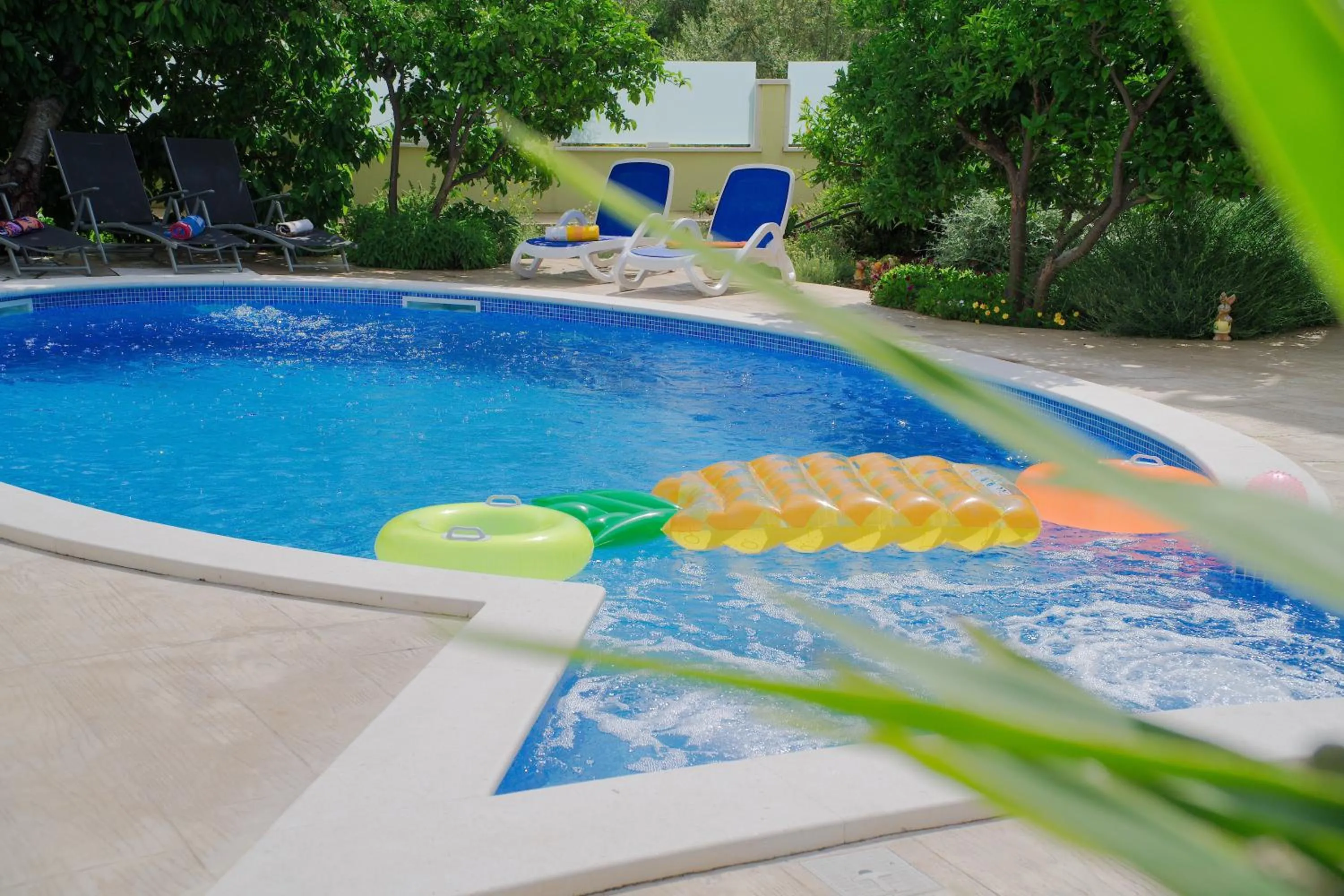 Swimming pool in Apartments Petra