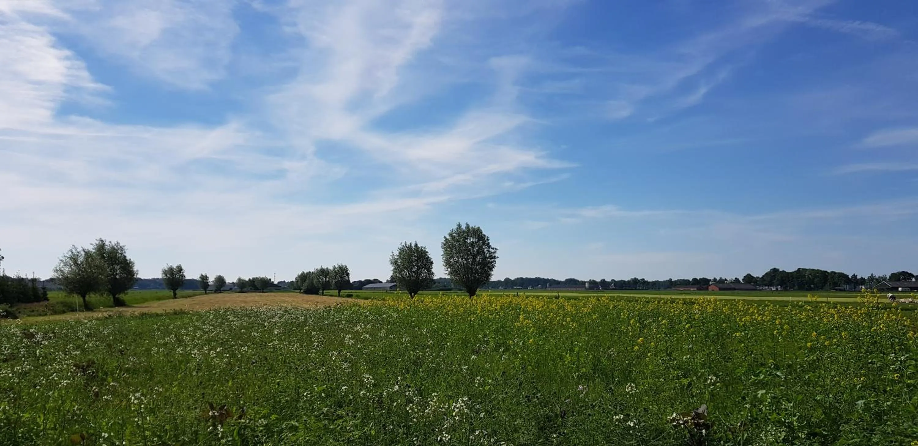 Natural landscape in Bed & Breakfast De Heughte