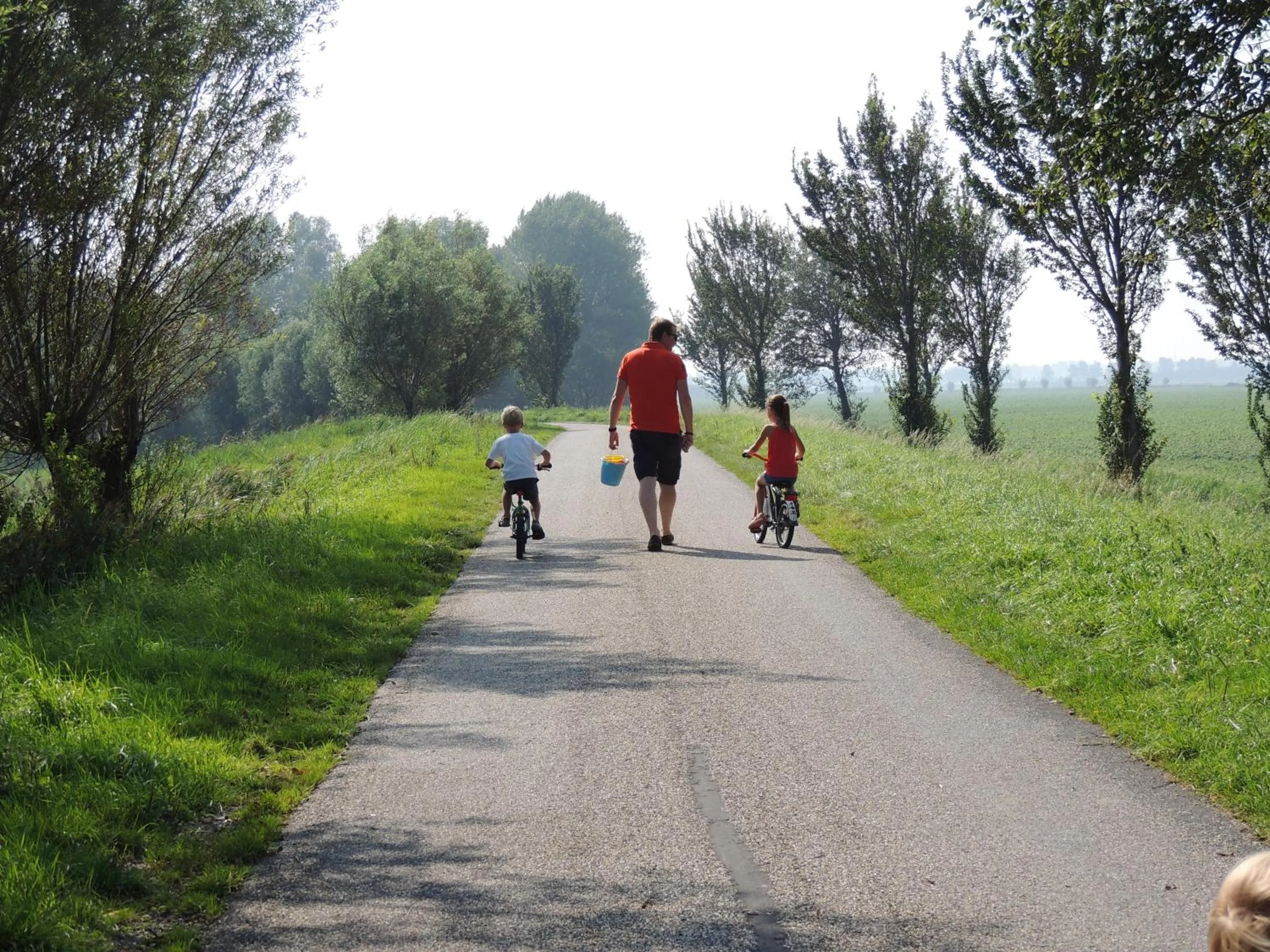 Cycling in Hofstede 's Gravenhoek