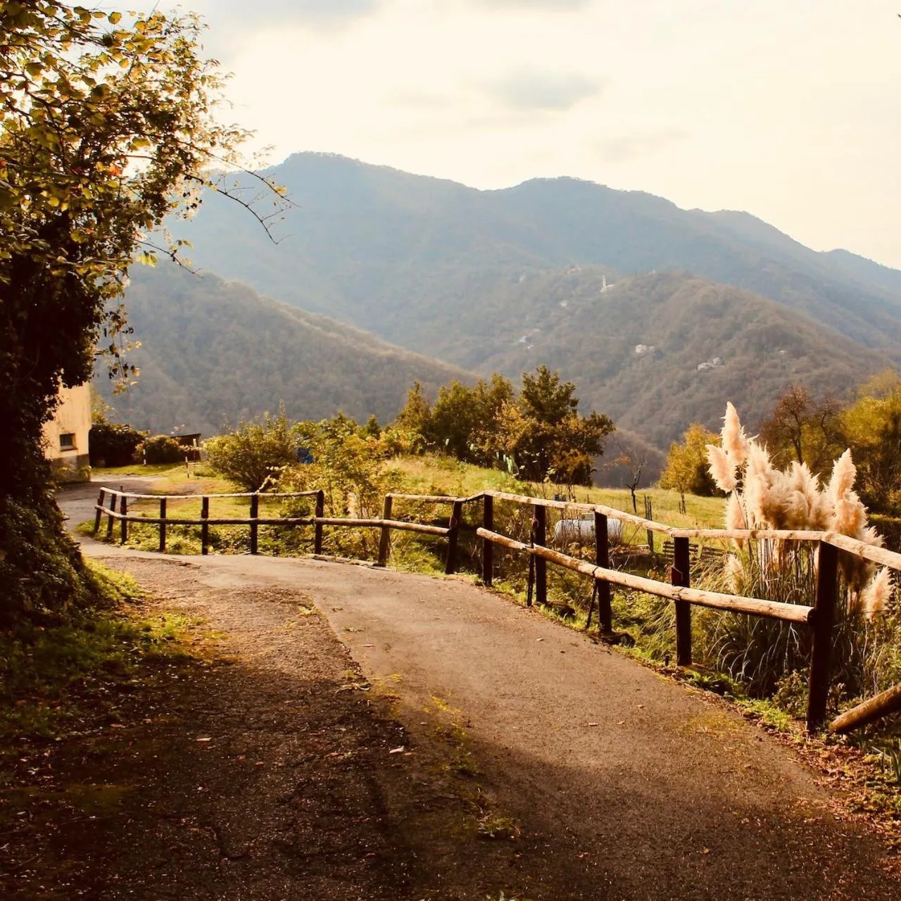 Natural landscape in Locanda del Sale Affittacamere