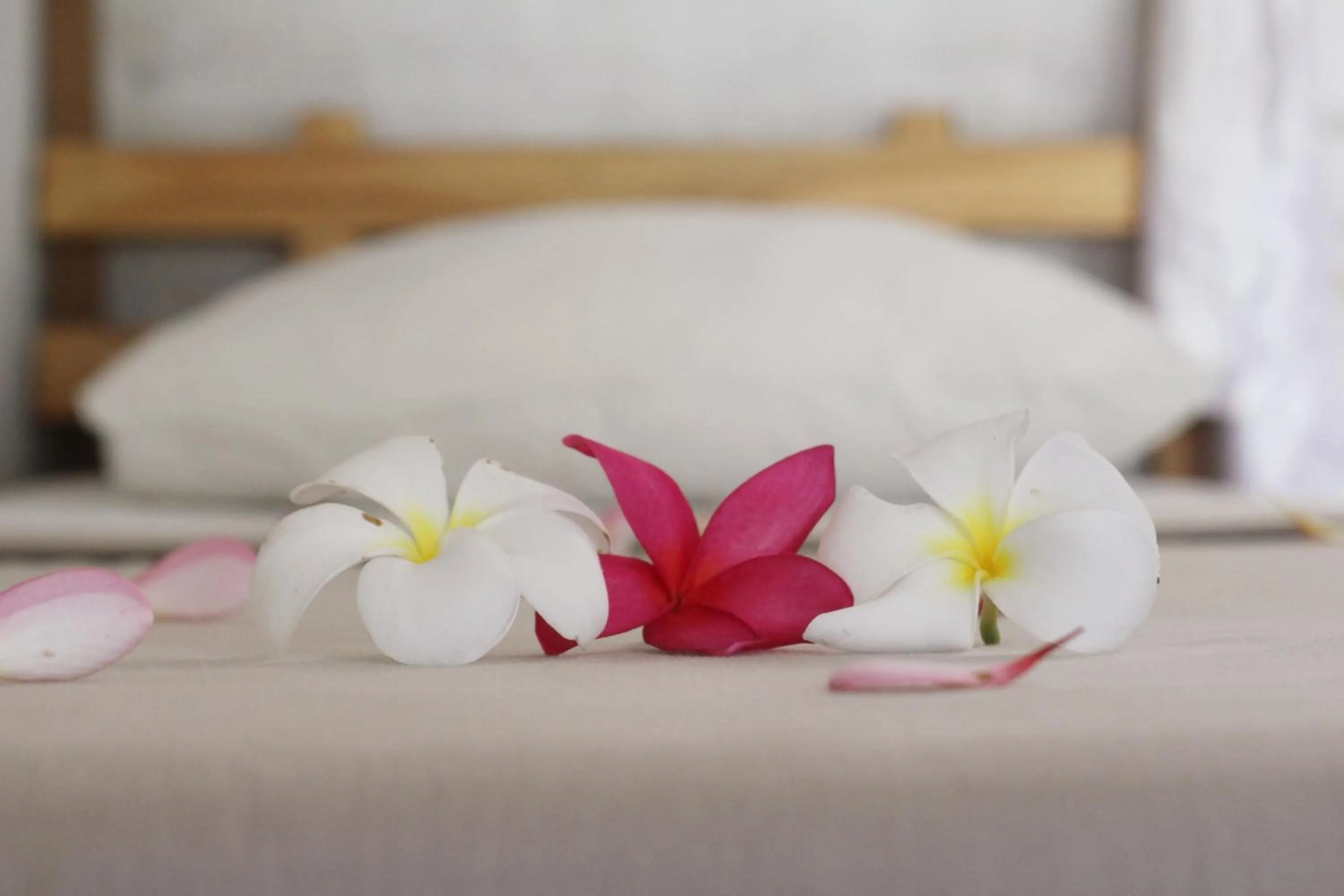 Bed in Jungle House - surf & stay