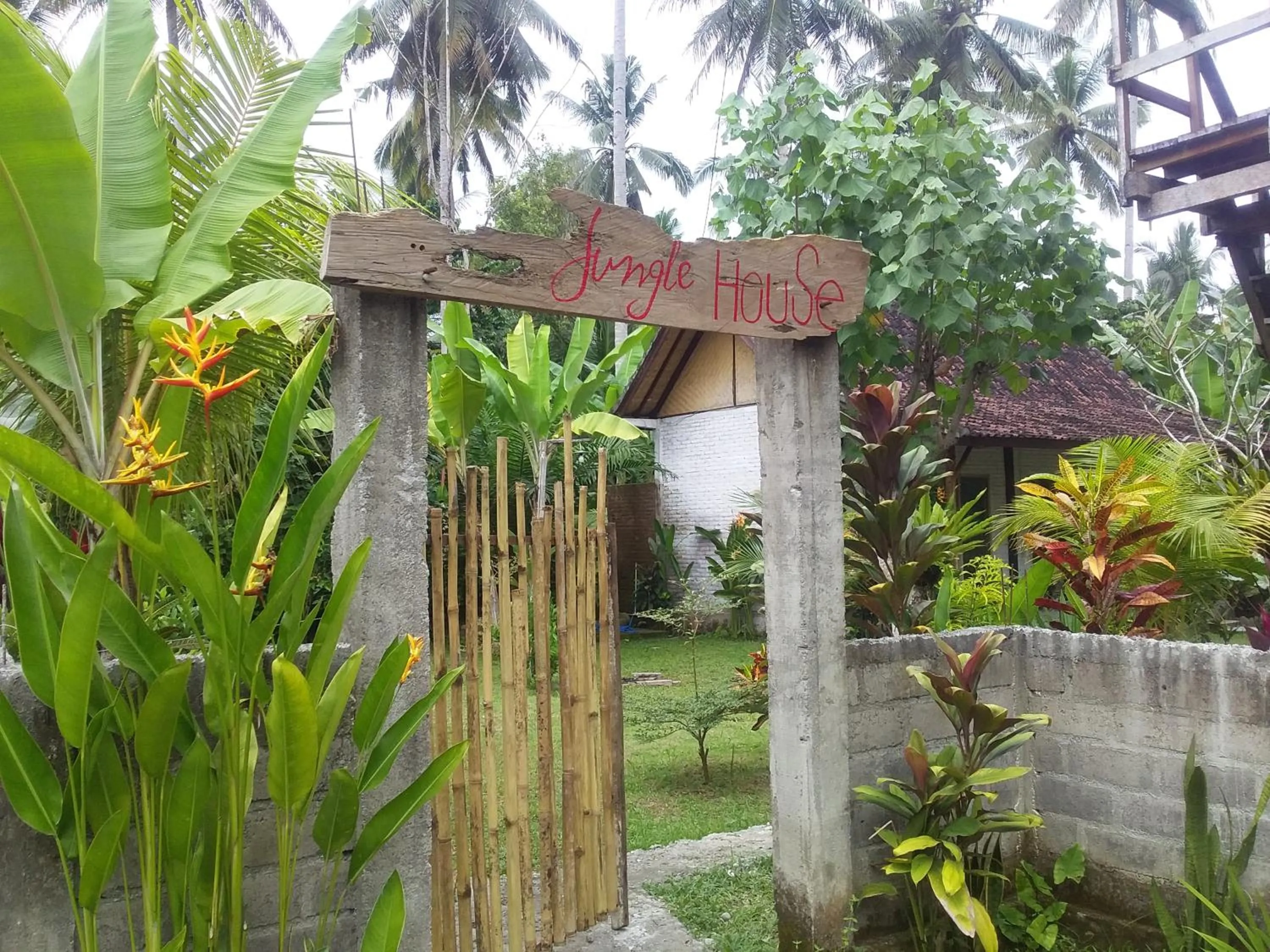 Jungle House - surf & stay