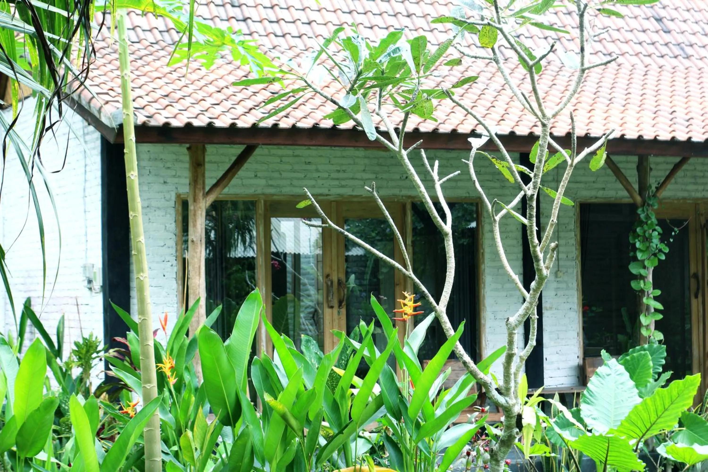 Jungle House - surf & stay