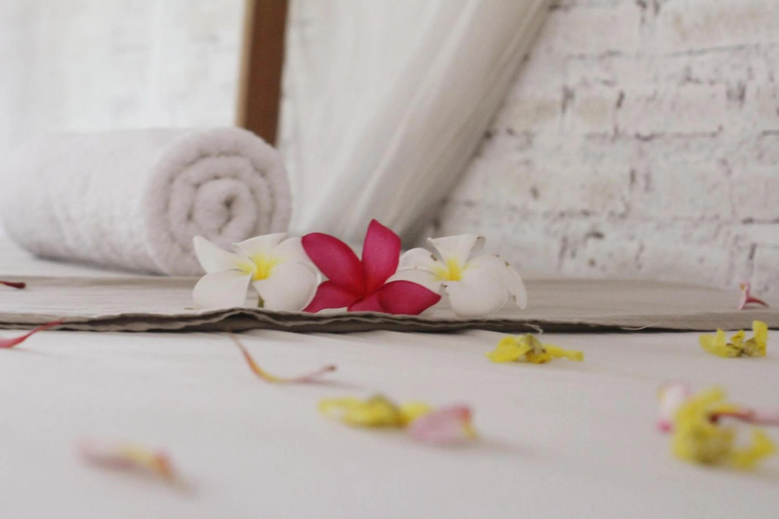 Bed in Jungle House - surf & stay