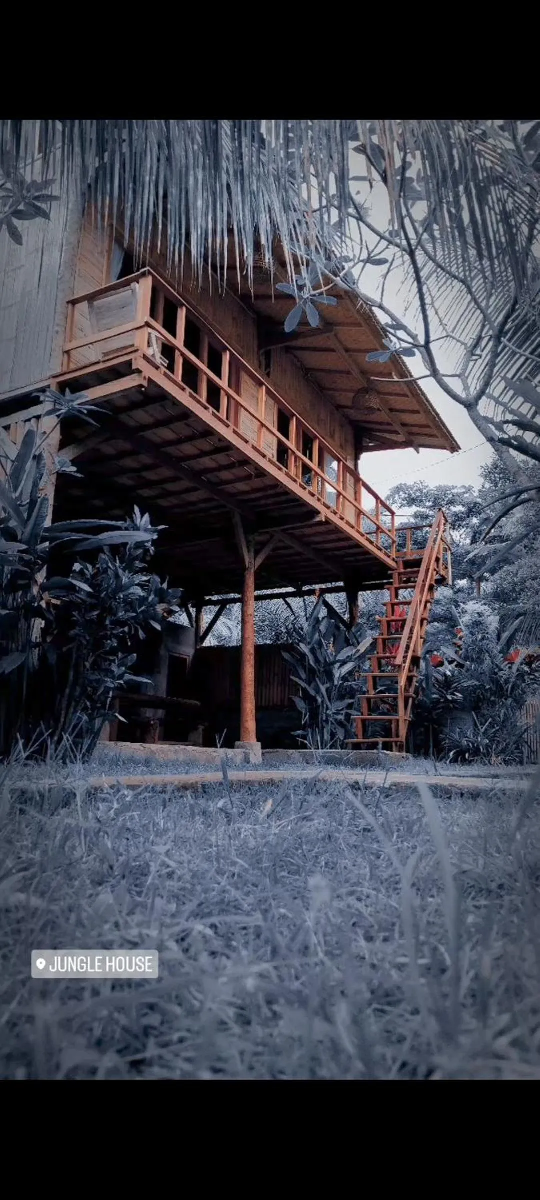 Jungle House - surf & stay