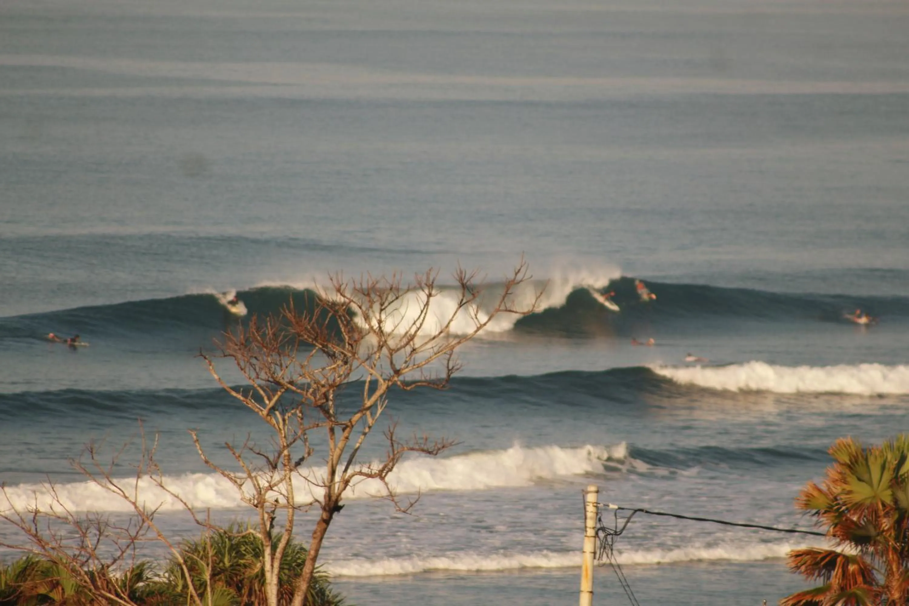 Jungle House - surf & stay