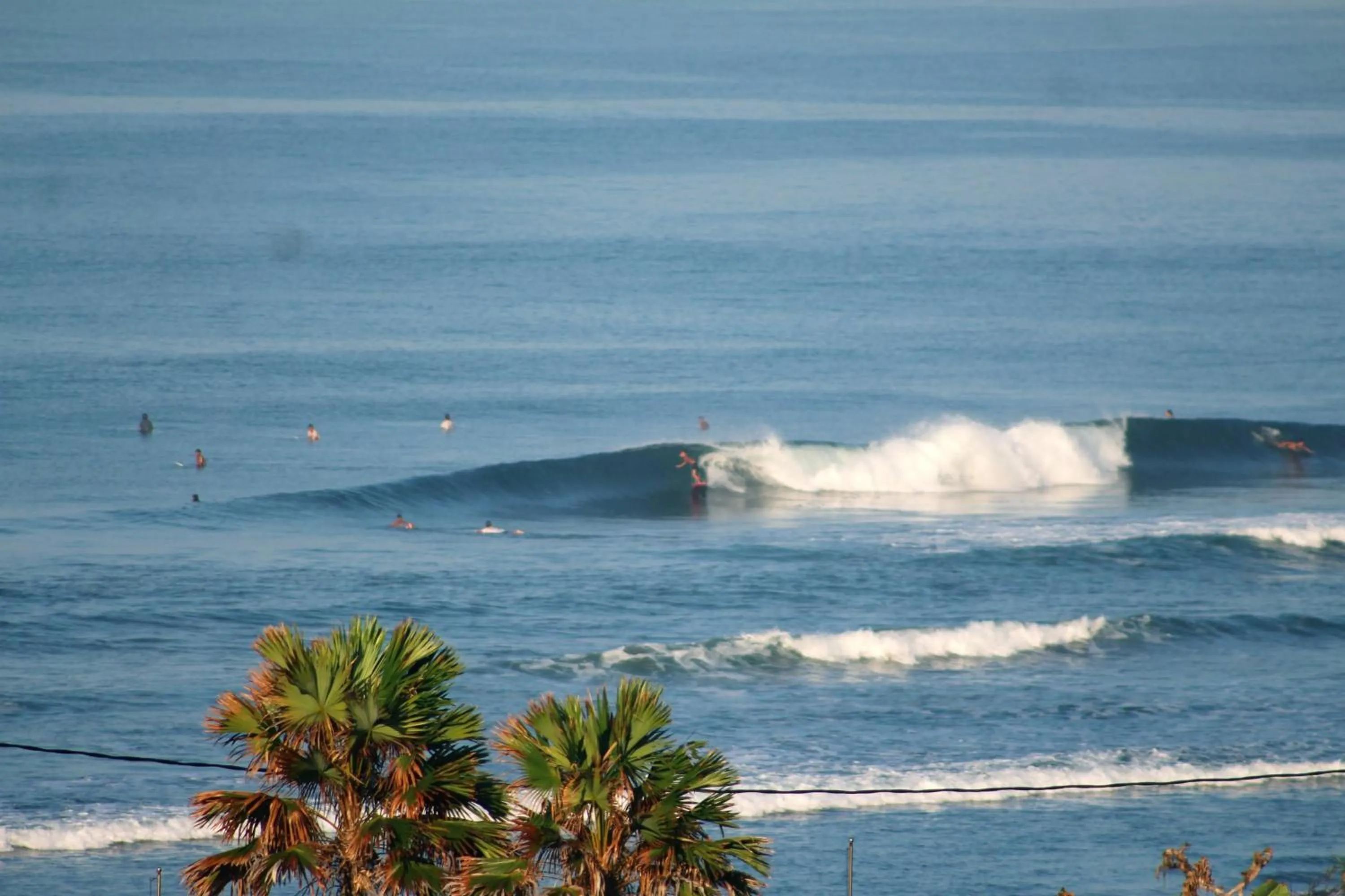 Jungle House - surf & stay