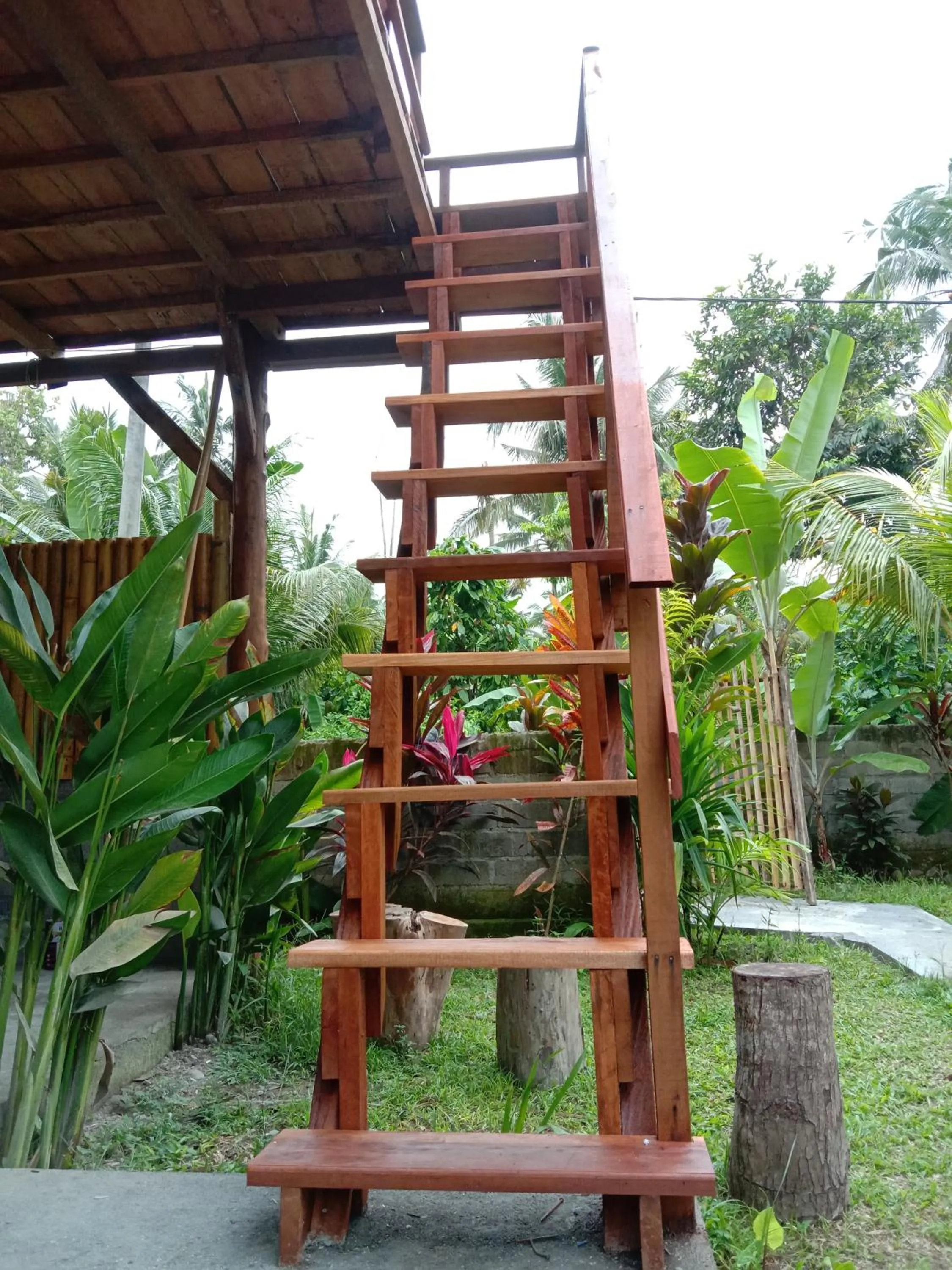Garden in Jungle House - surf & stay