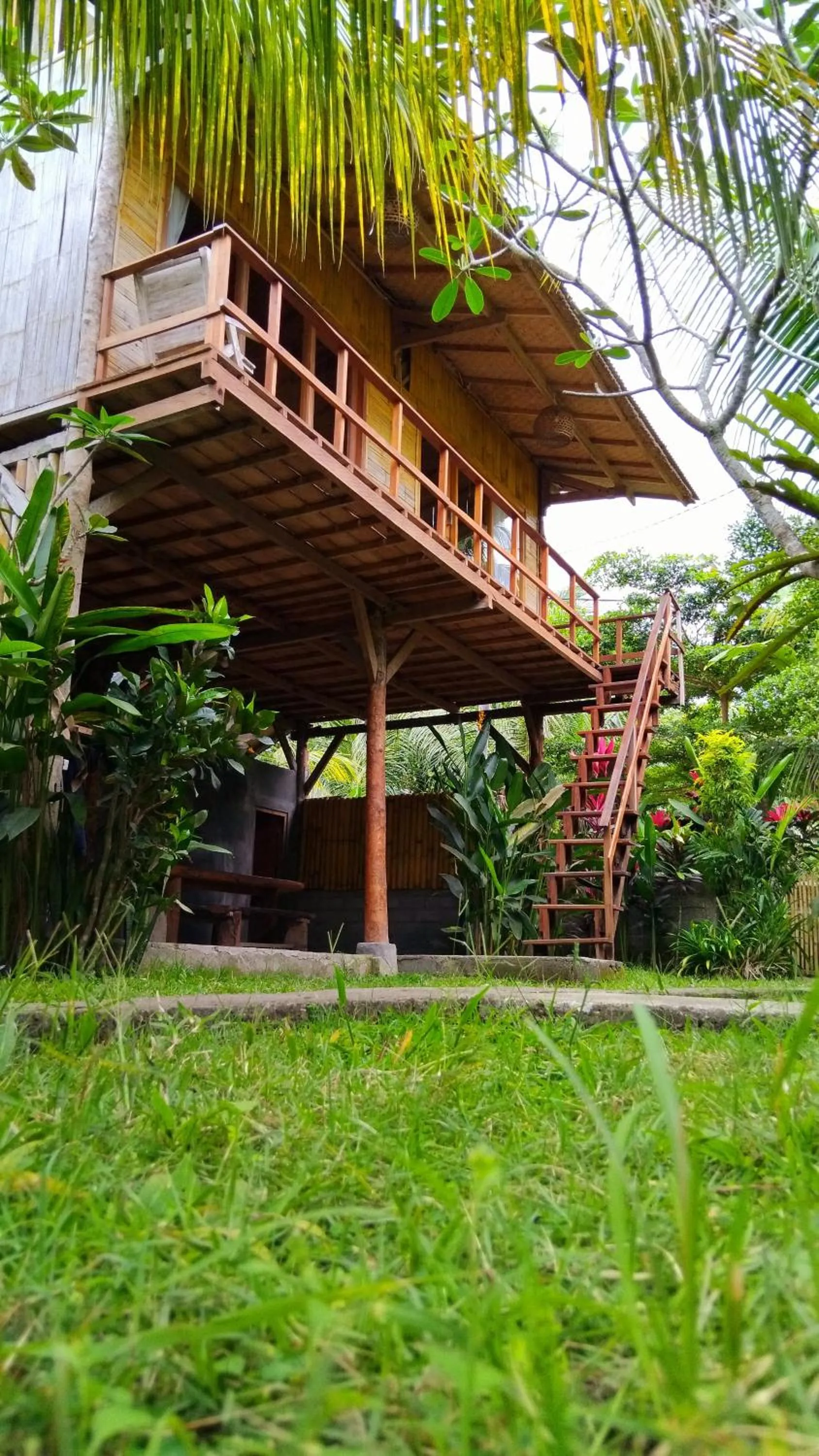 Property building in Jungle House - surf & stay