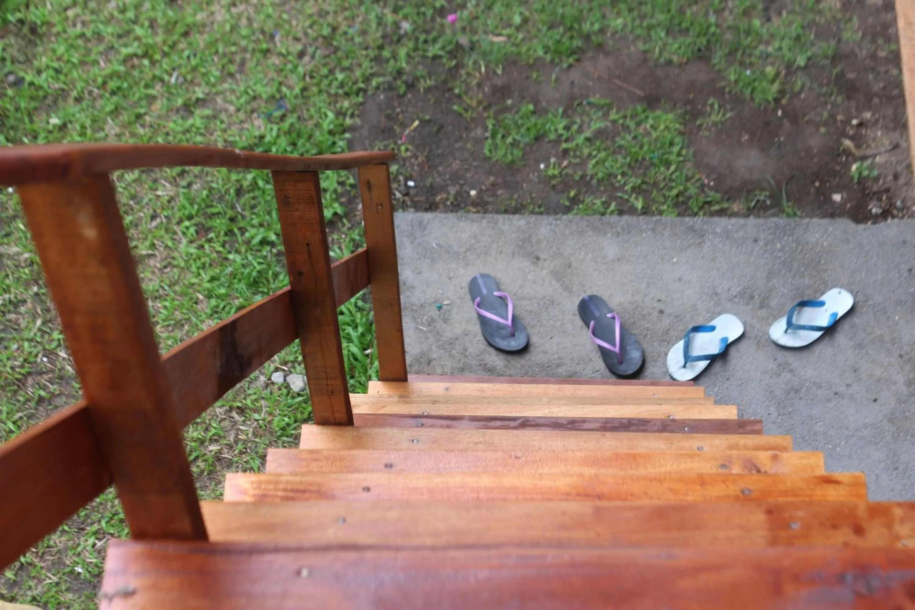 Jungle House - surf & stay