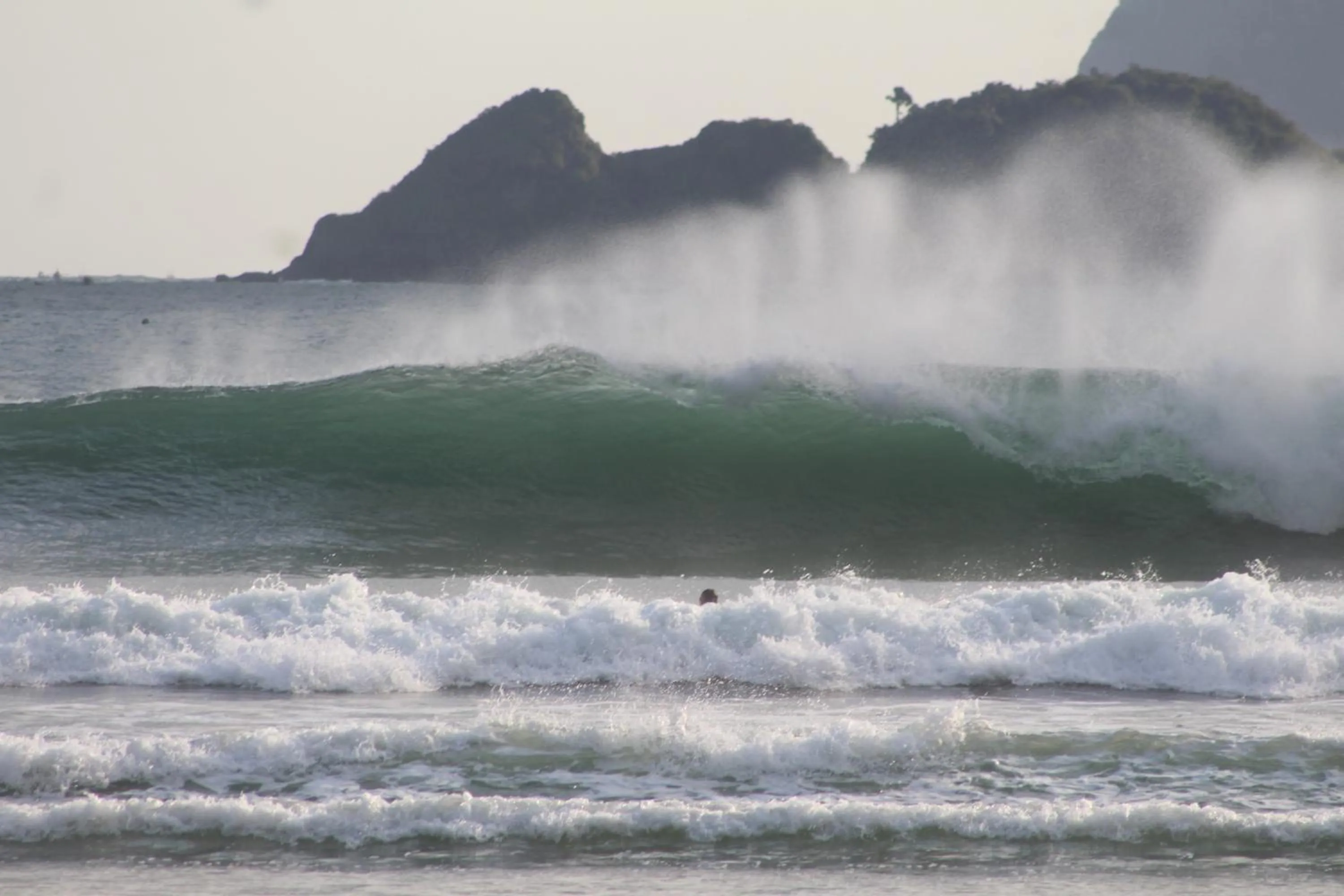 Jungle House - surf & stay