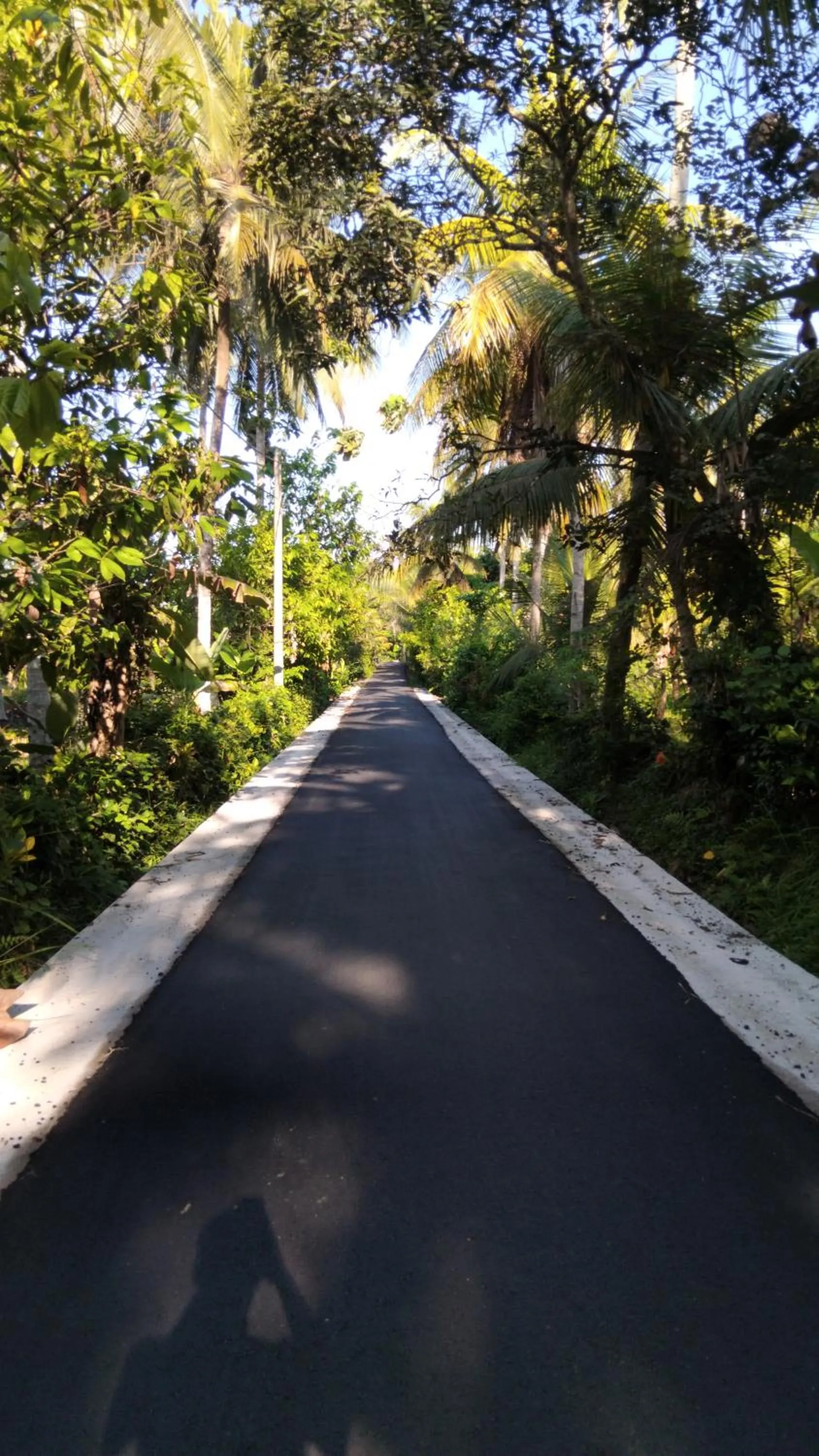 Neighbourhood in Jungle House - surf & stay