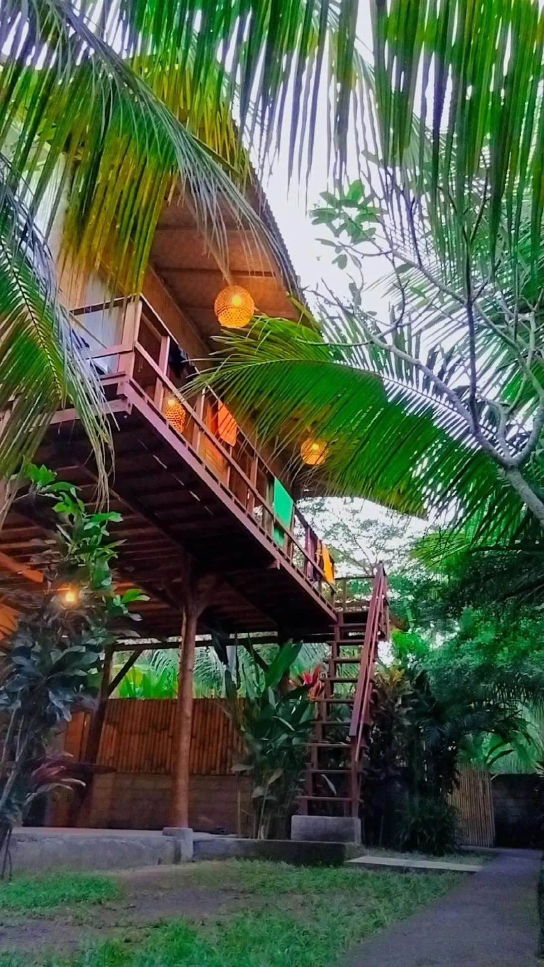 Jungle House - surf & stay