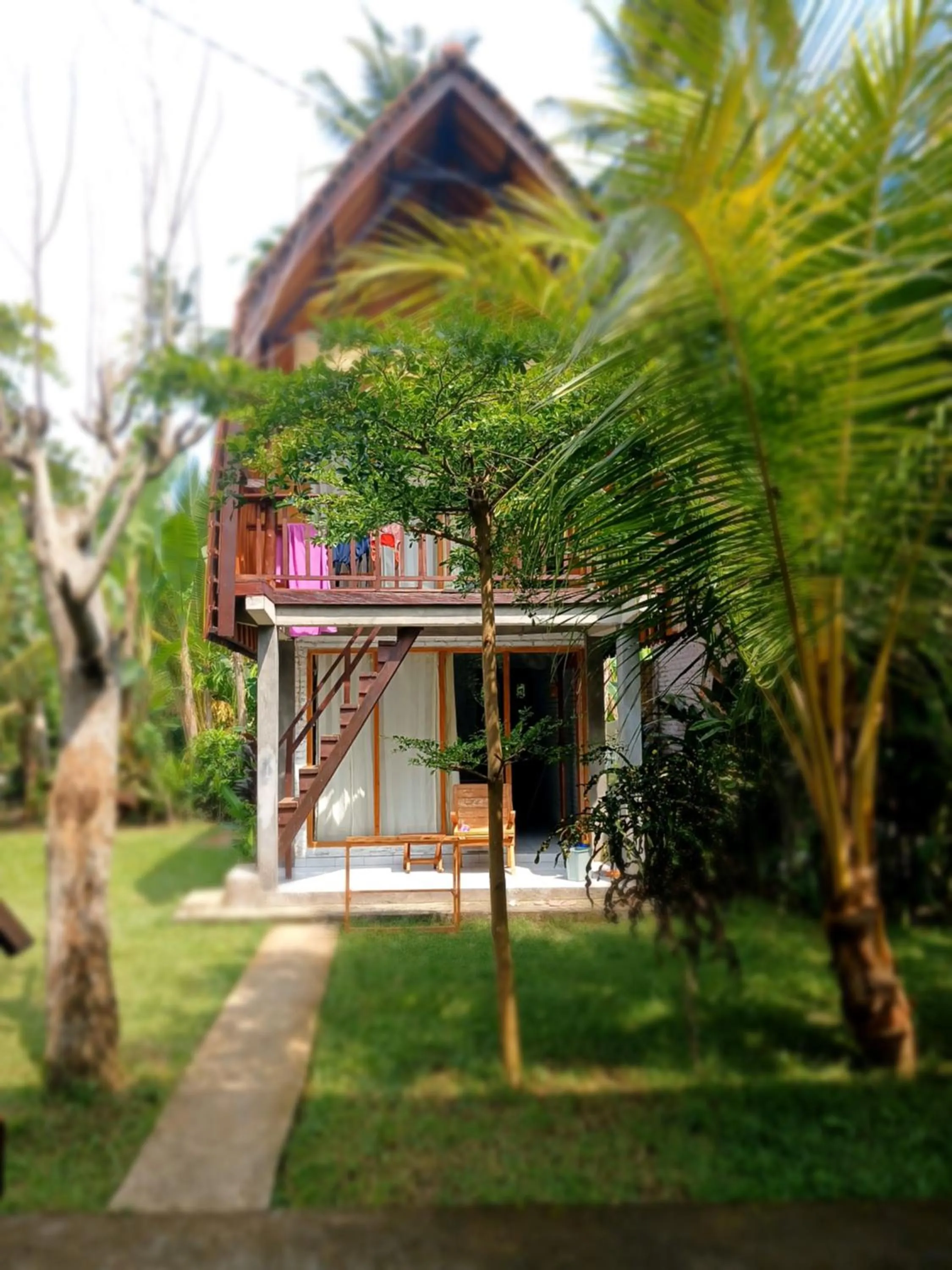 Jungle House - surf & stay