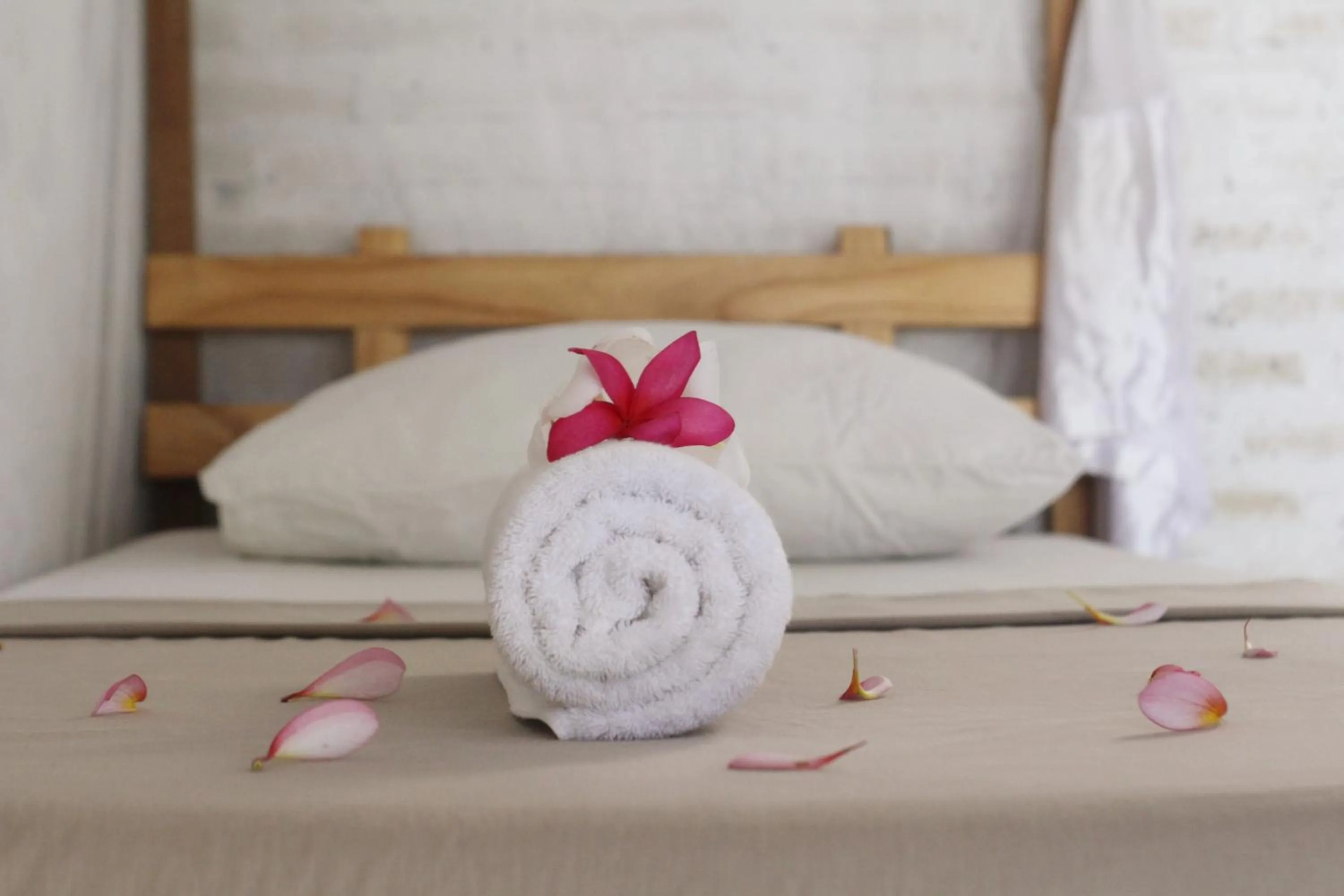 Bed in Jungle House - surf & stay